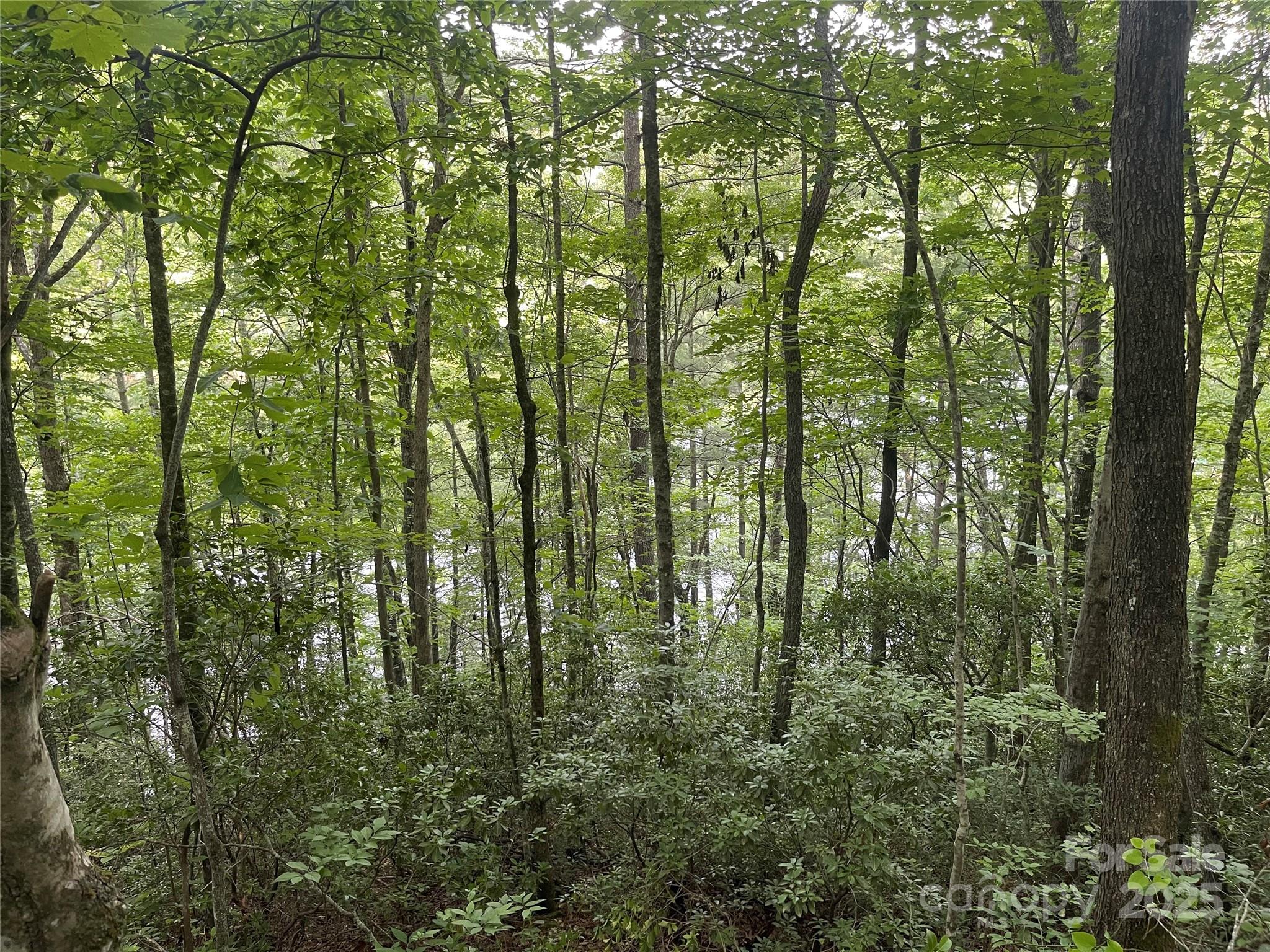 2642 Canada Road Property Photo 6