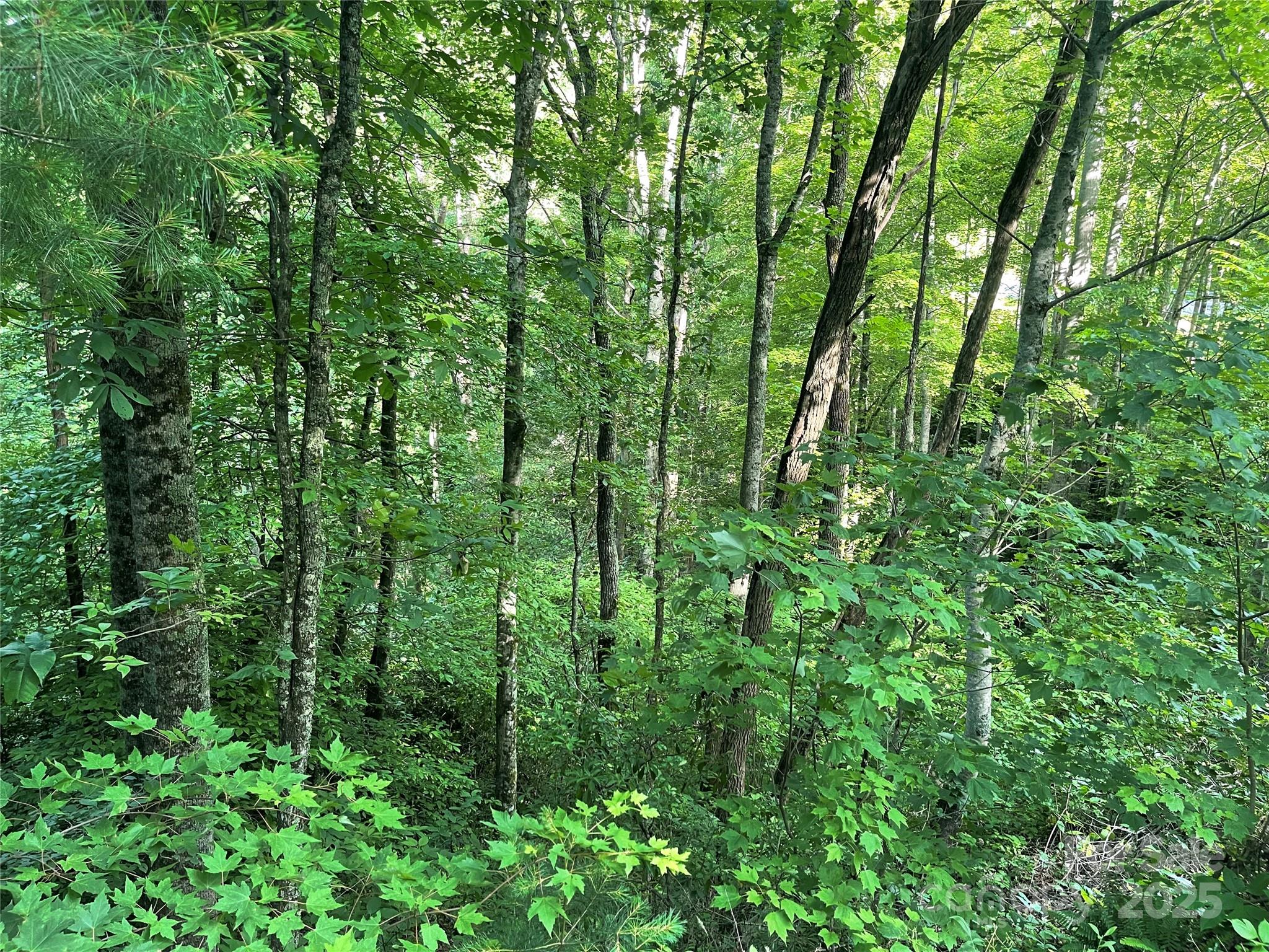 2600 Canada Road Property Photo 6