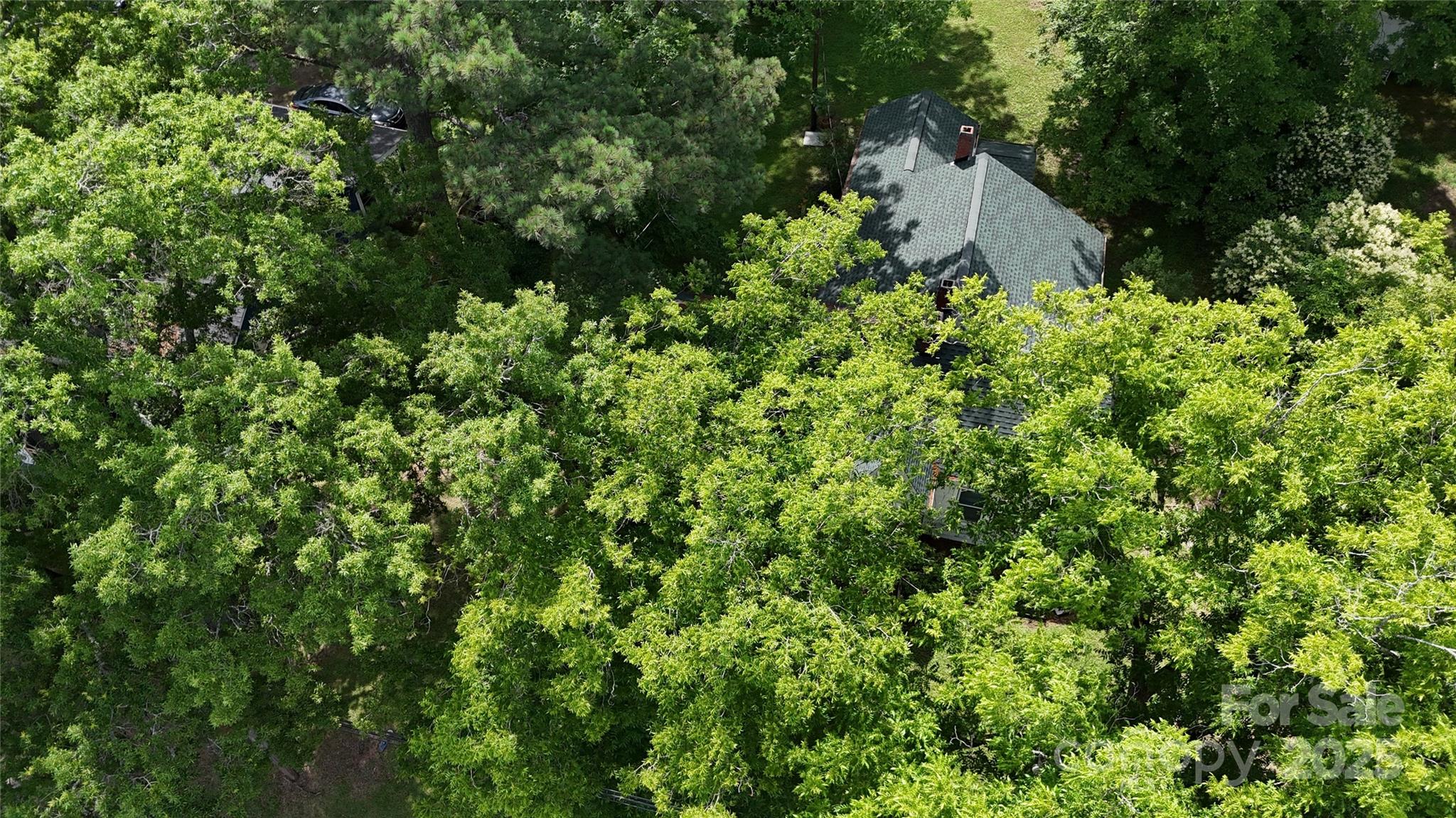 514 Saluda Road Property Photo 5