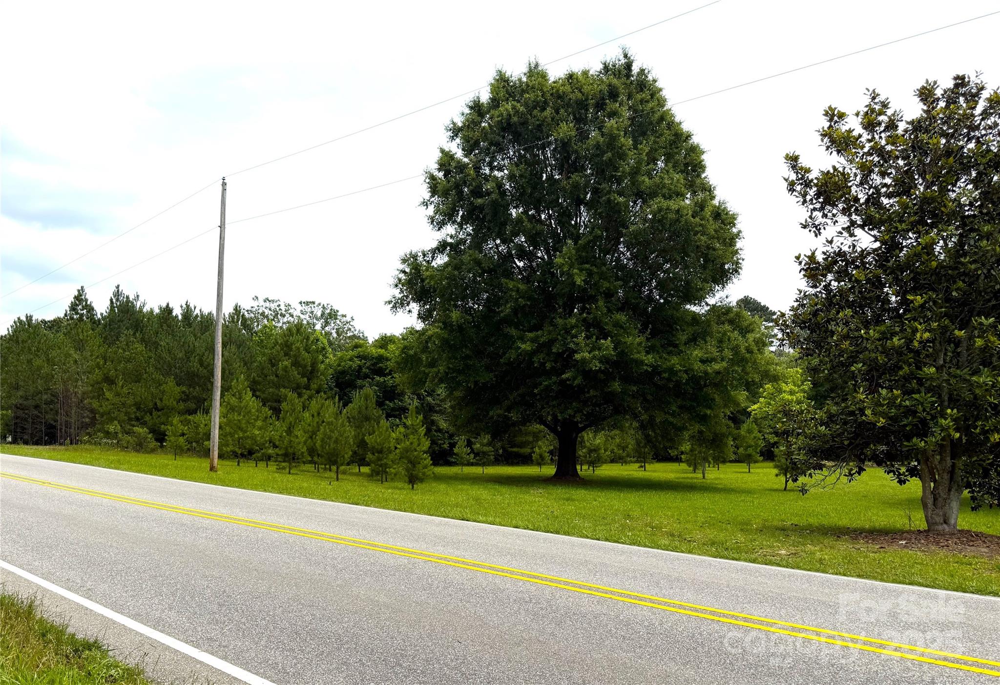 4521 Waxhaw Highway Property Photo 3