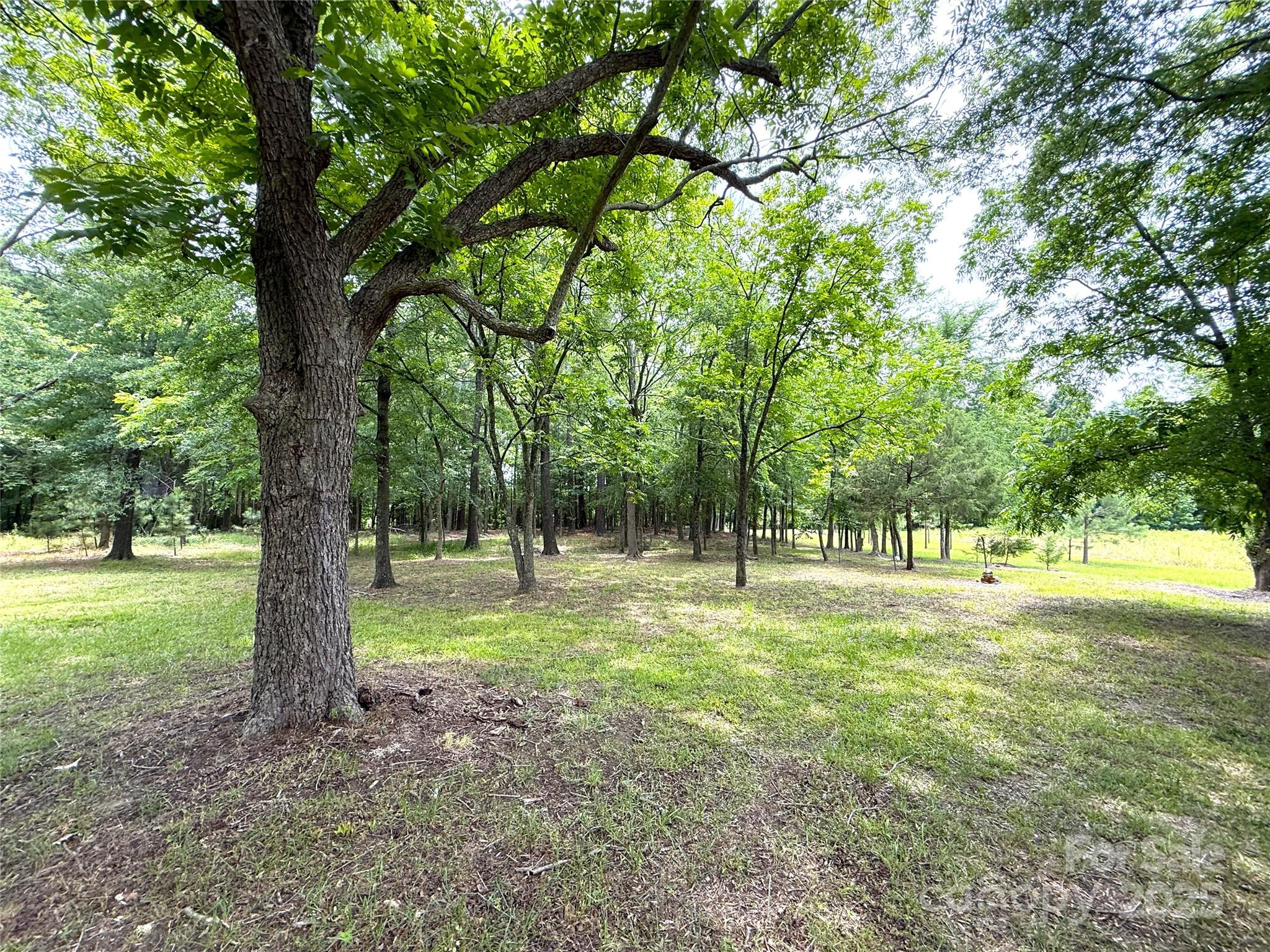 4521 Waxhaw Highway Property Photo 6