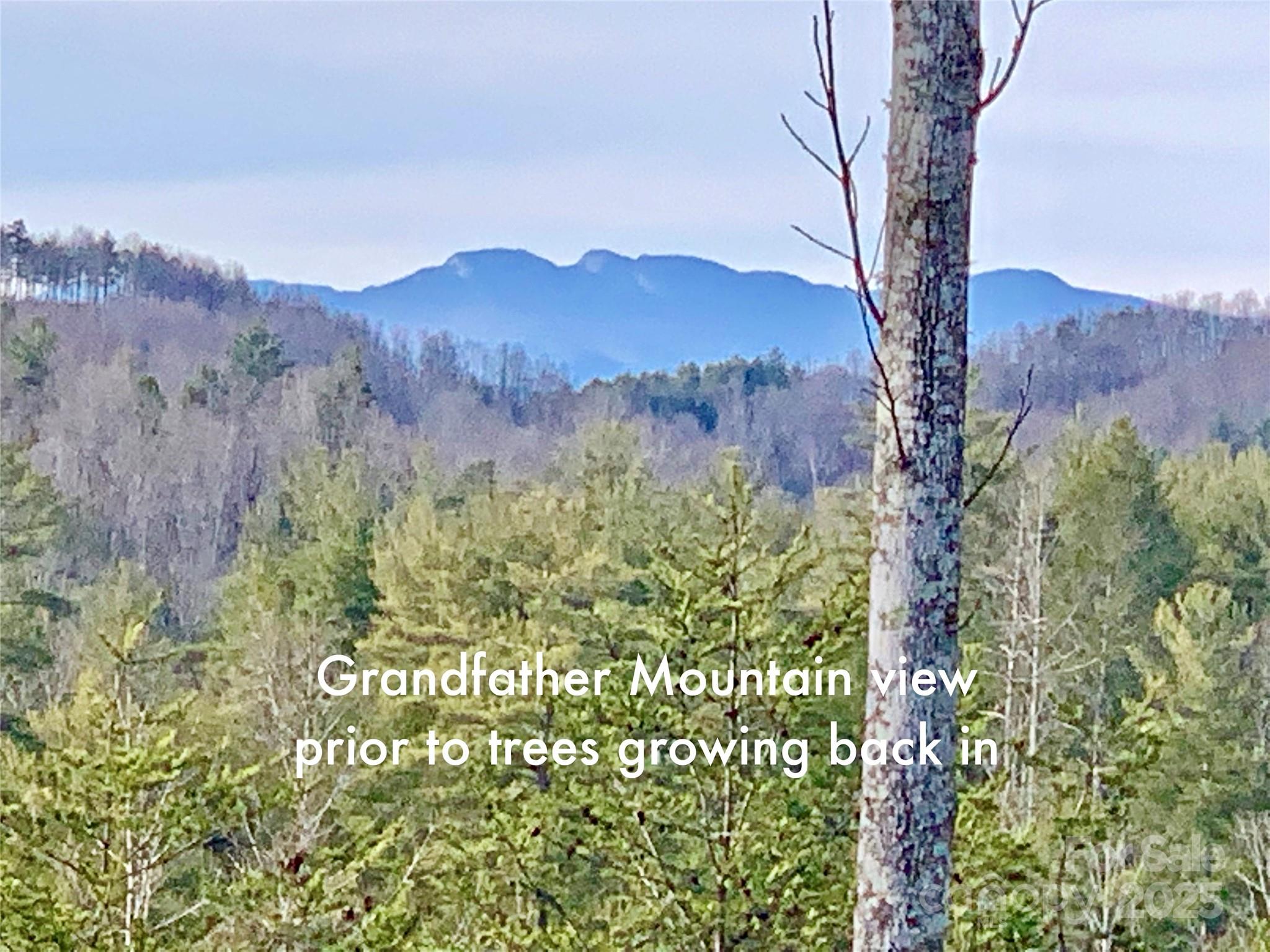 2.66 Acres, Lot 903 High Valley Way 903 Property Photo 5