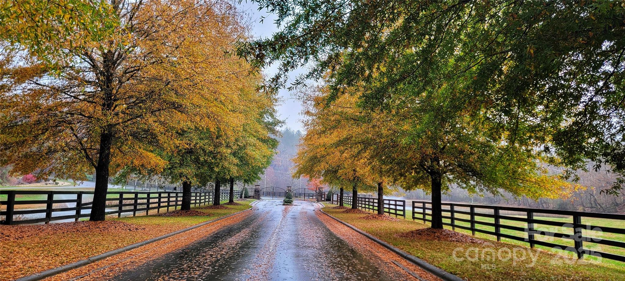 2.66 Acres, Lot 903 High Valley Way 903 Property Photo 12