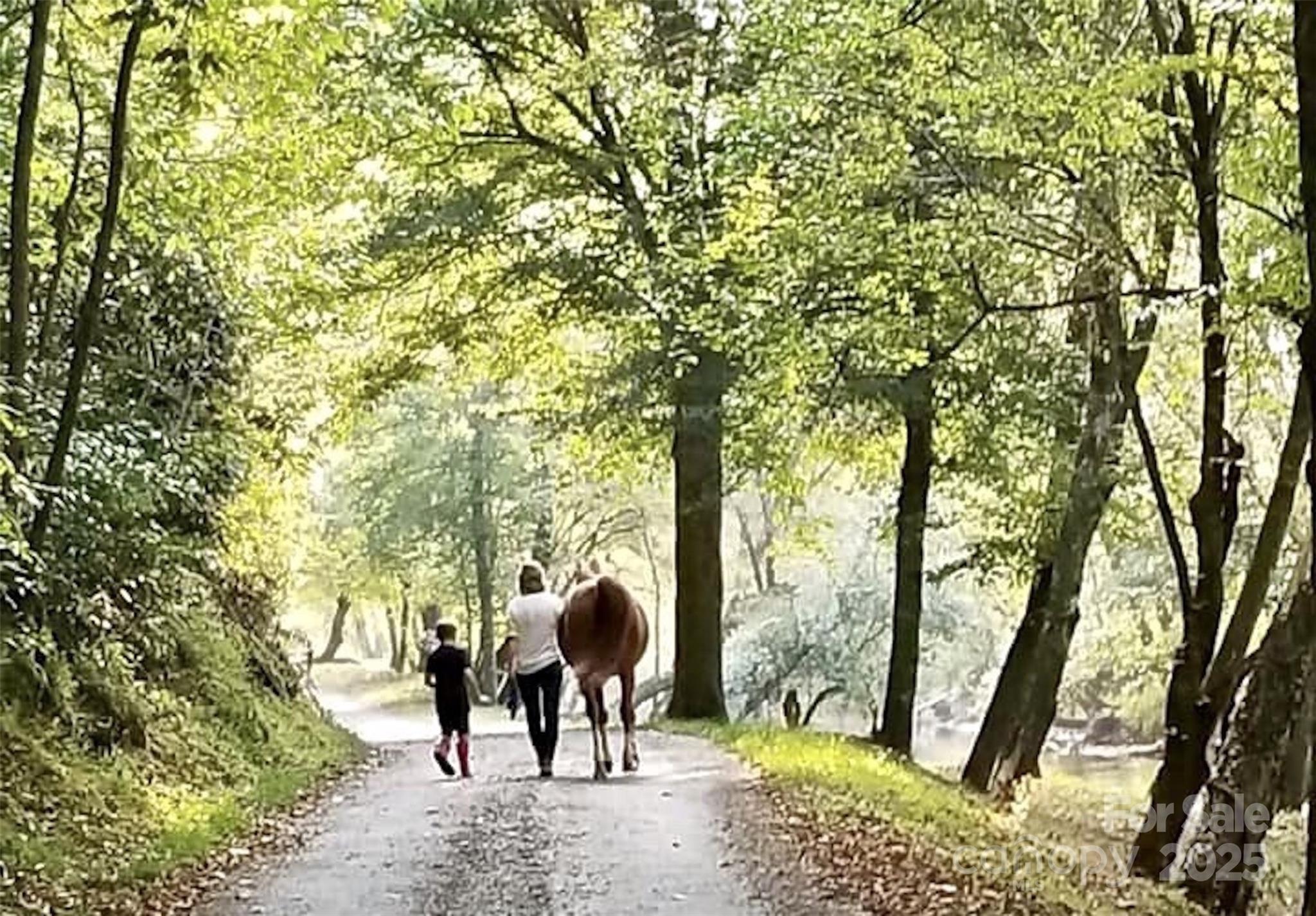 2.66 Acres, Lot 903 High Valley Way 903 Property Photo 31