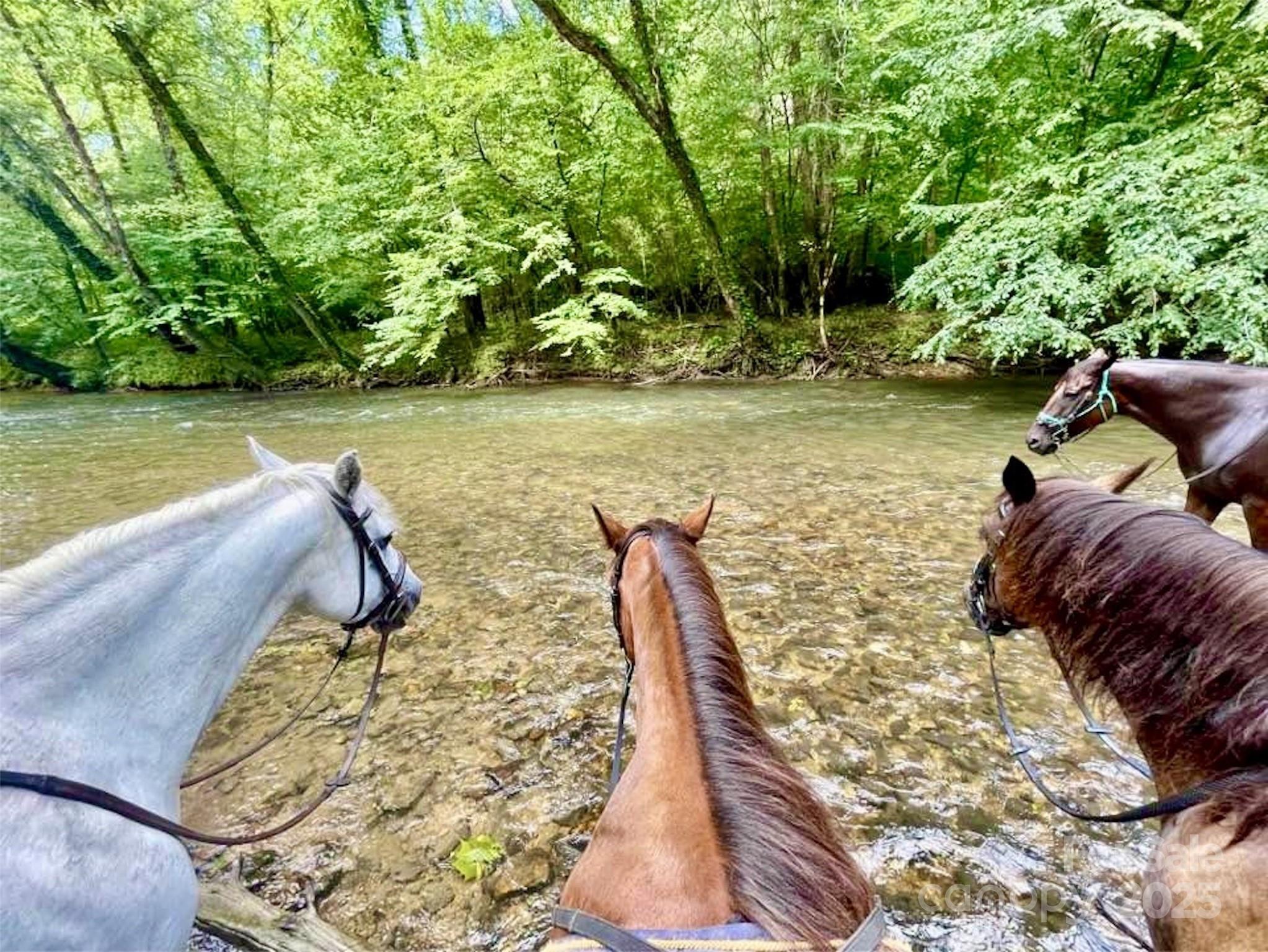 2.66 Acres, Lot 903 High Valley Way 903 Property Photo 33