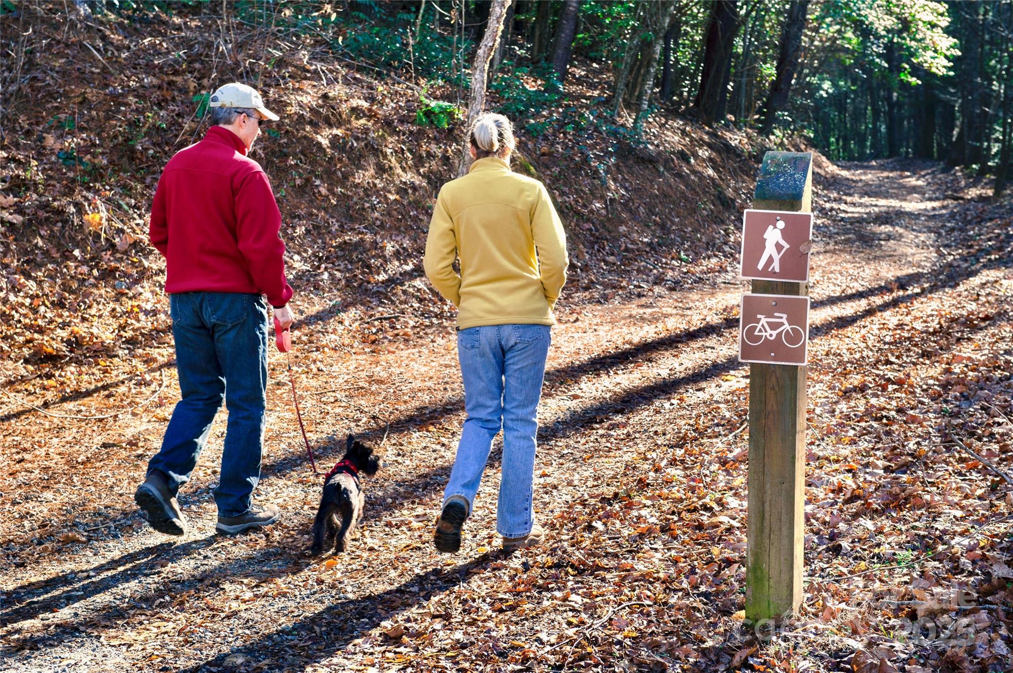 2.66 Acres, Lot 903 High Valley Way 903 Property Photo 38