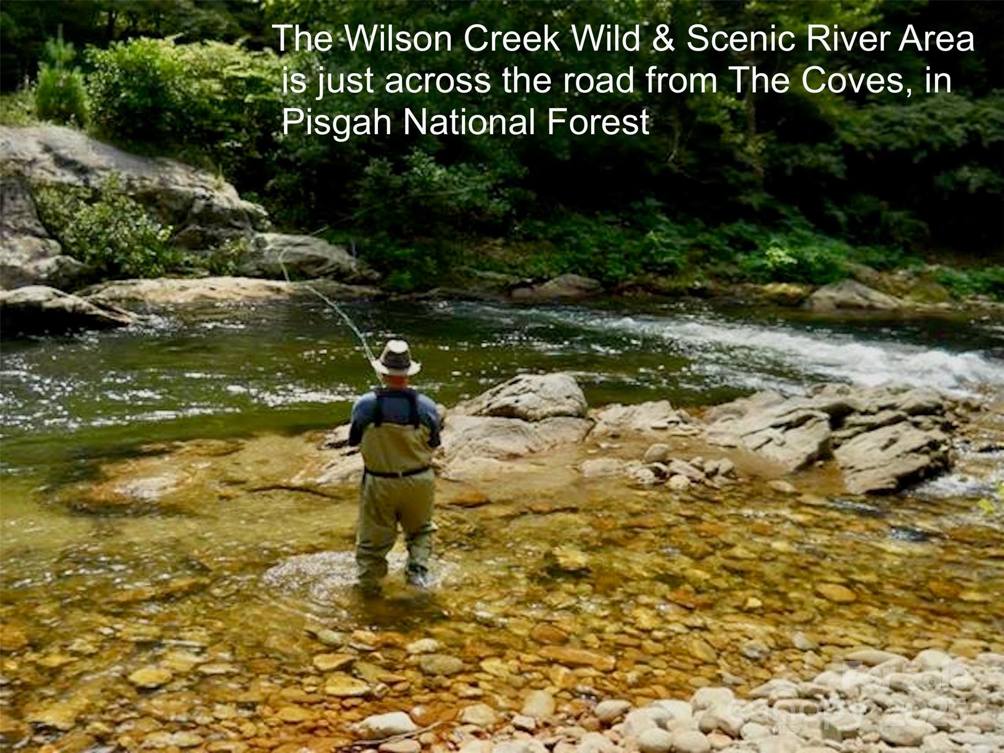 2.66 Acres, Lot 903 High Valley Way 903 Property Photo 39