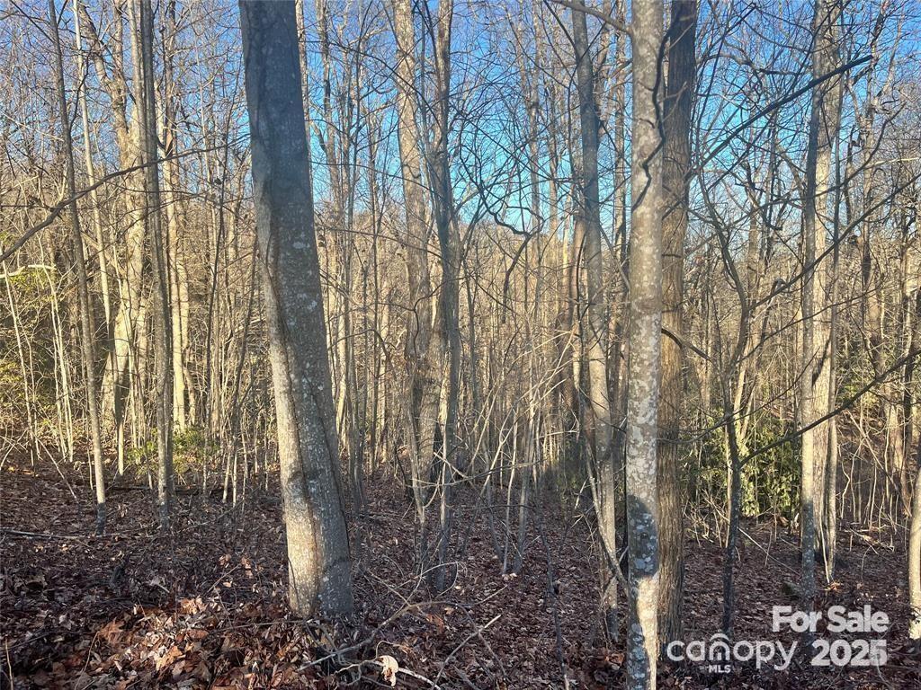 129 Pinnacle Peak Lane Property Photo 1