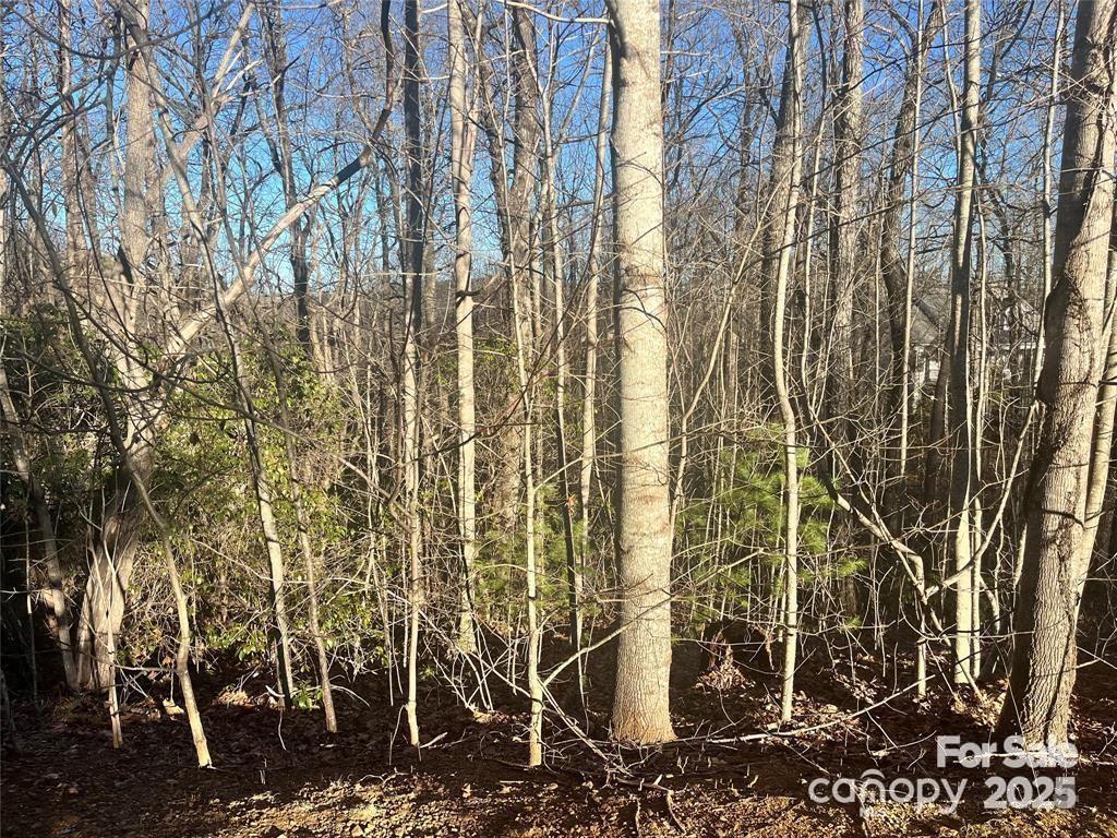 129 Pinnacle Peak Lane Property Photo 3