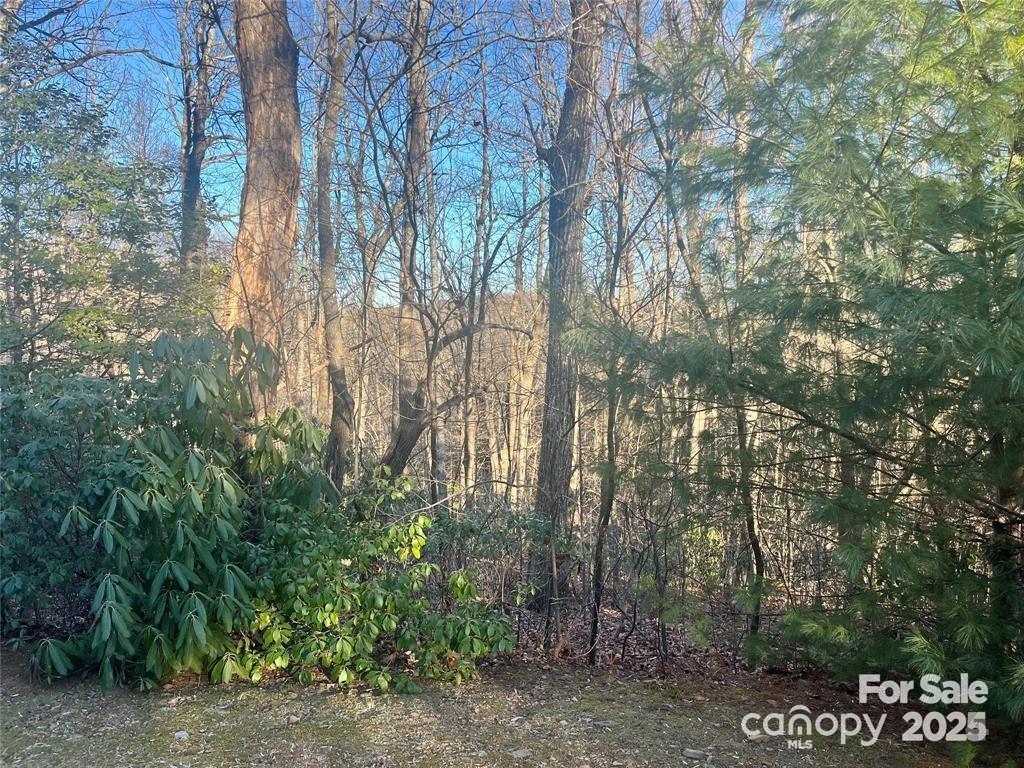 129 Pinnacle Peak Lane Property Photo 4