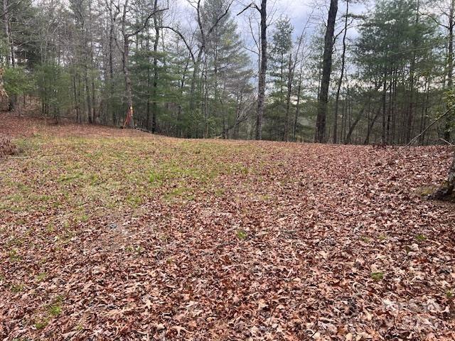 2035 Lower Tuskeegee Road Property Photo 1