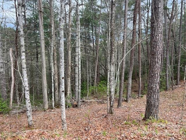 2035 Lower Tuskeegee Road Property Photo 2