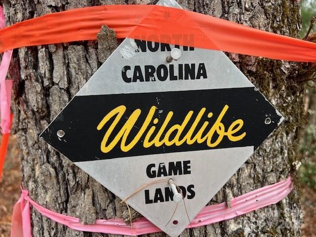 2035 Lower Tuskeegee Road Property Photo 3