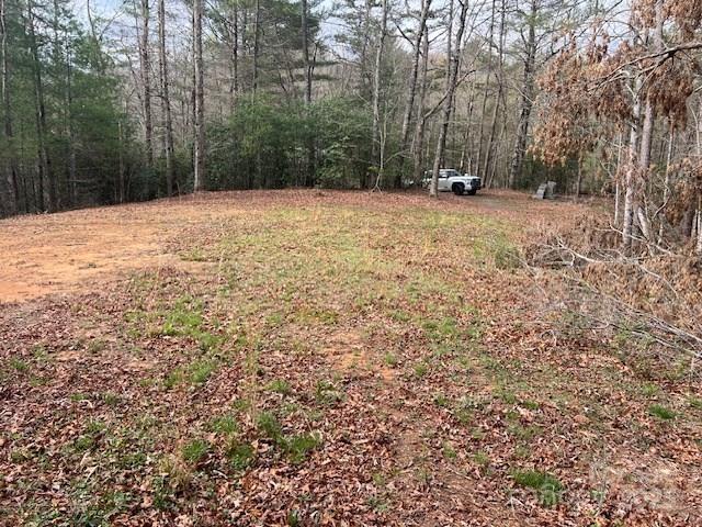 2035 Lower Tuskeegee Road Property Photo 5