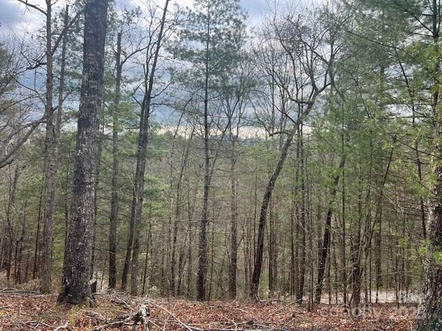 2035 Lower Tuskeegee Road Property Photo 6