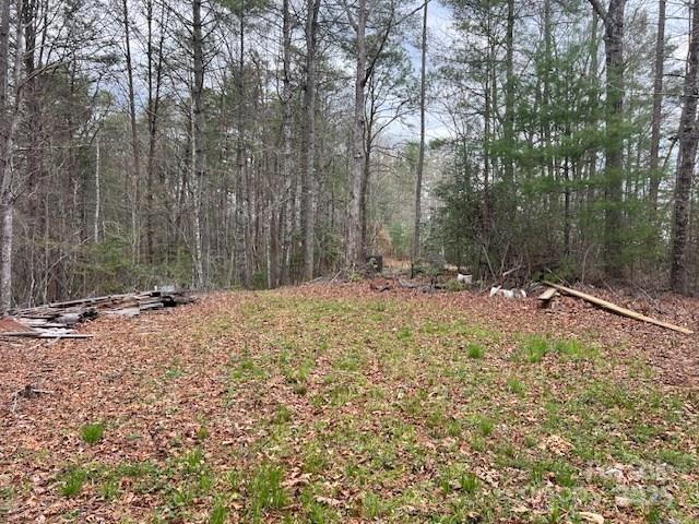 2035 Lower Tuskeegee Road Property Photo 8