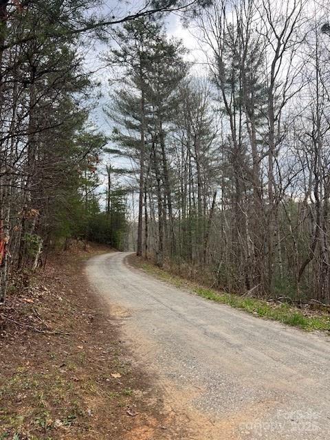 2035 Lower Tuskeegee Road Property Photo 10