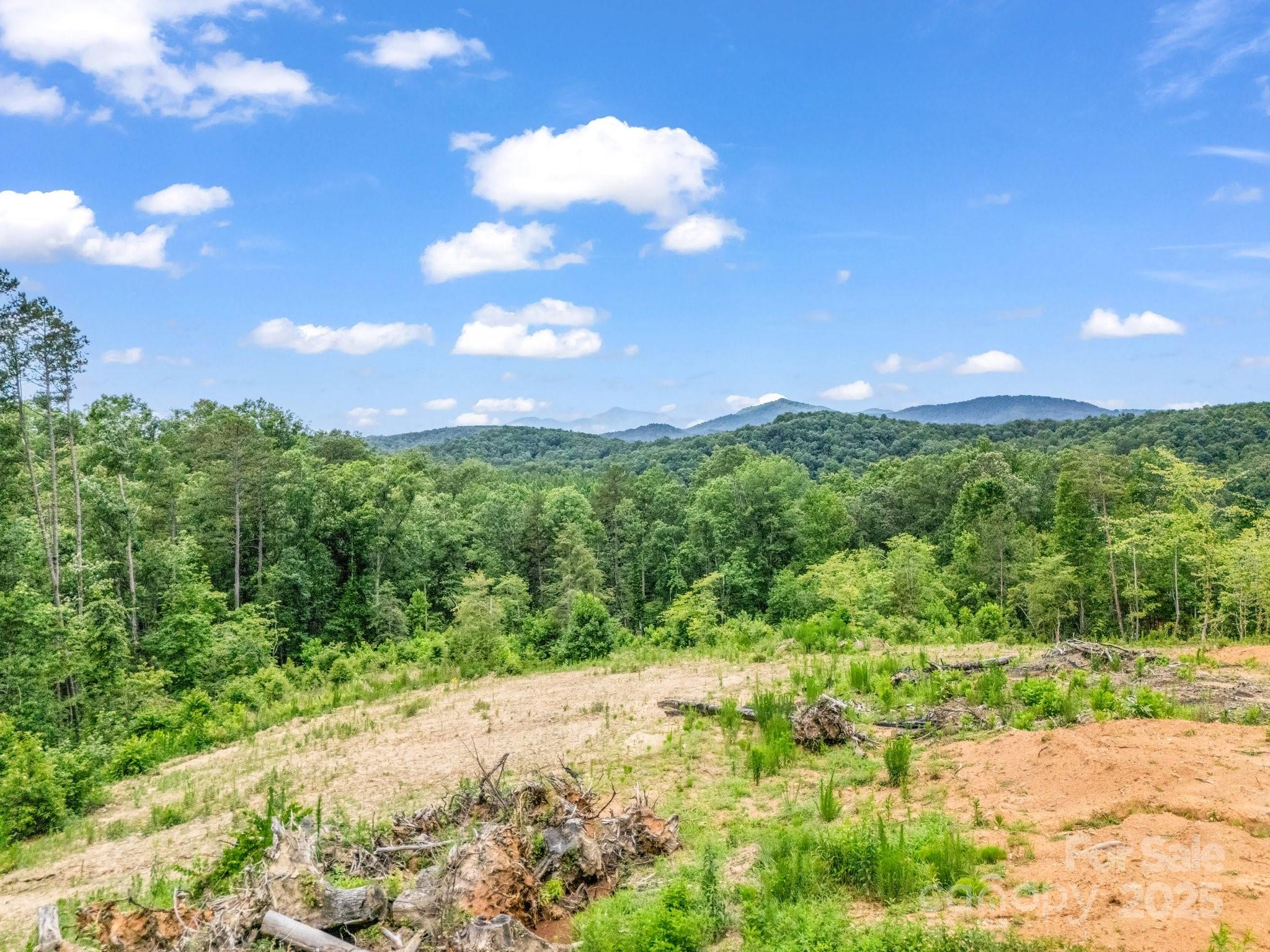 Lot 52 Shady Bark Lane Property Photo 2