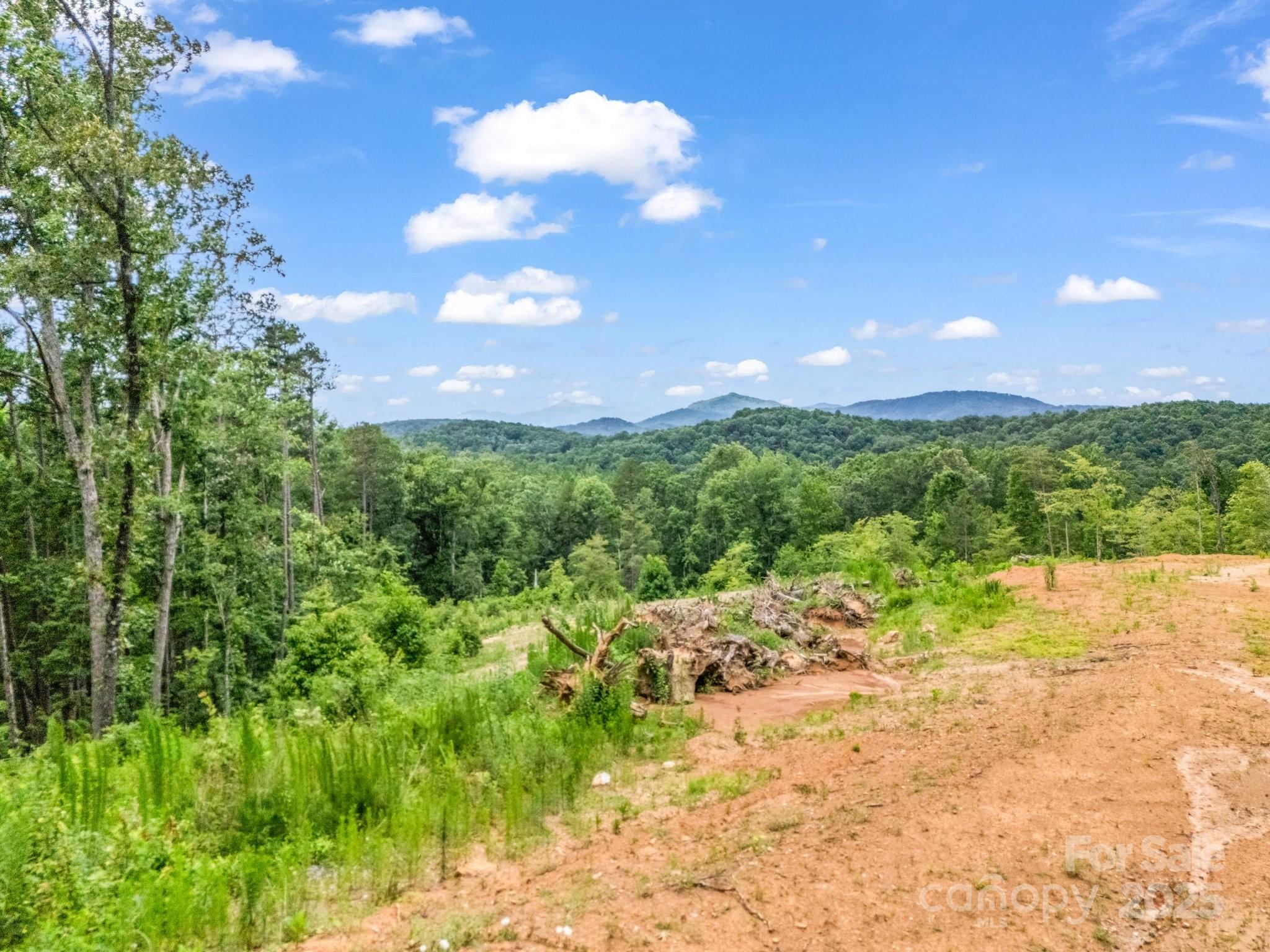 Lot 52 Shady Bark Lane Property Photo 5