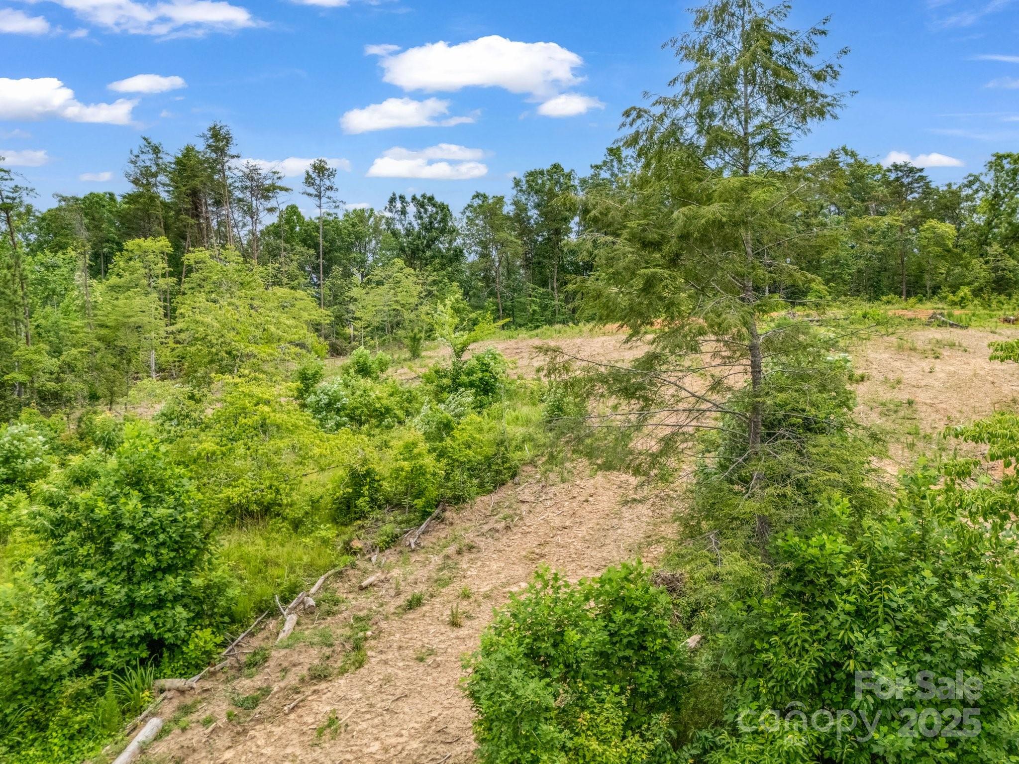 Lot 52 Shady Bark Lane Property Photo 7