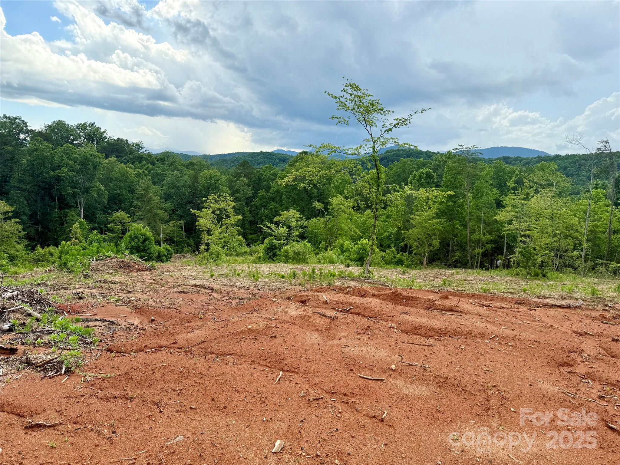 Lot 52 Shady Bark Lane Property Photo 23