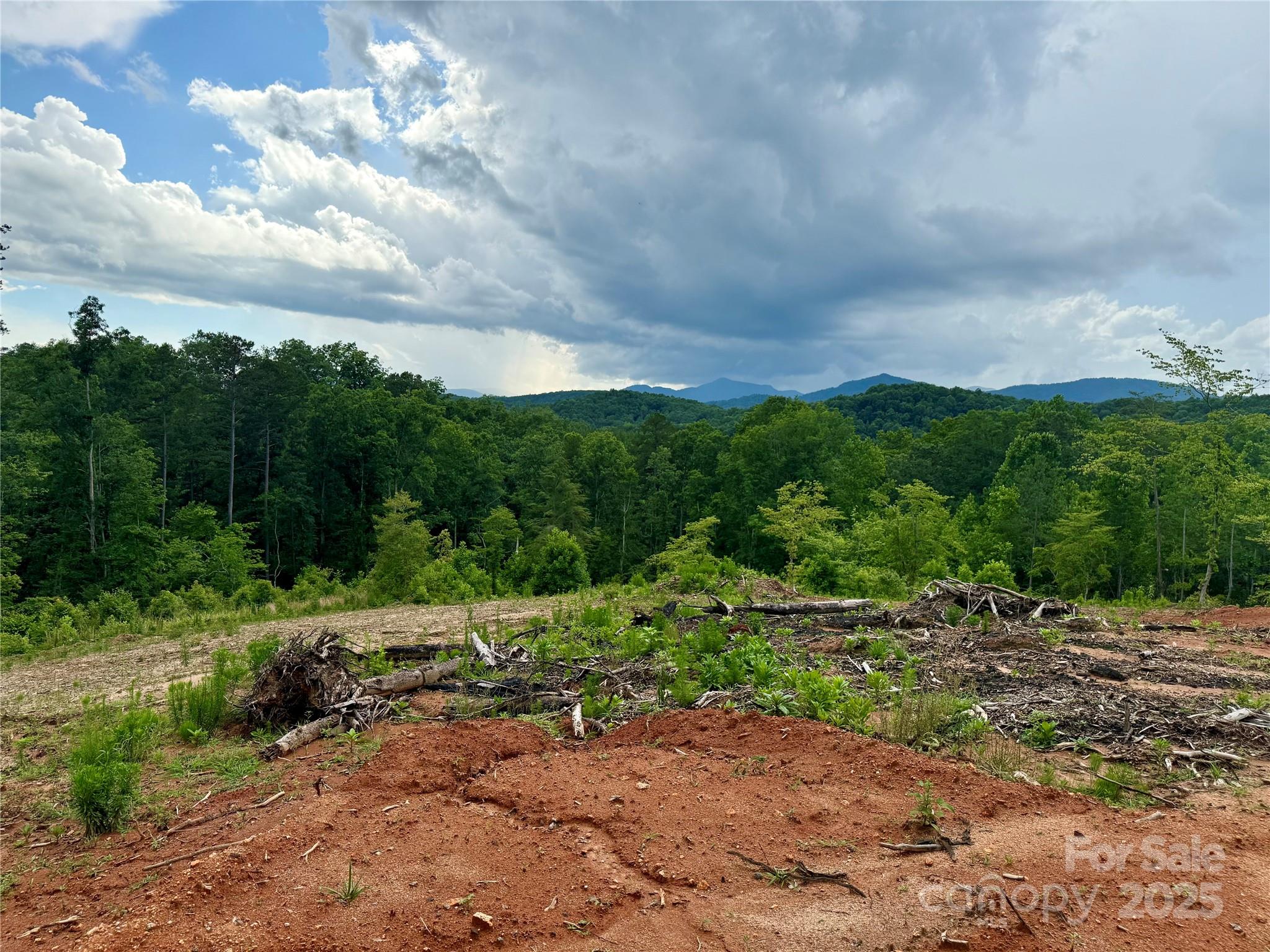 Lot 52 Shady Bark Lane Property Photo 24