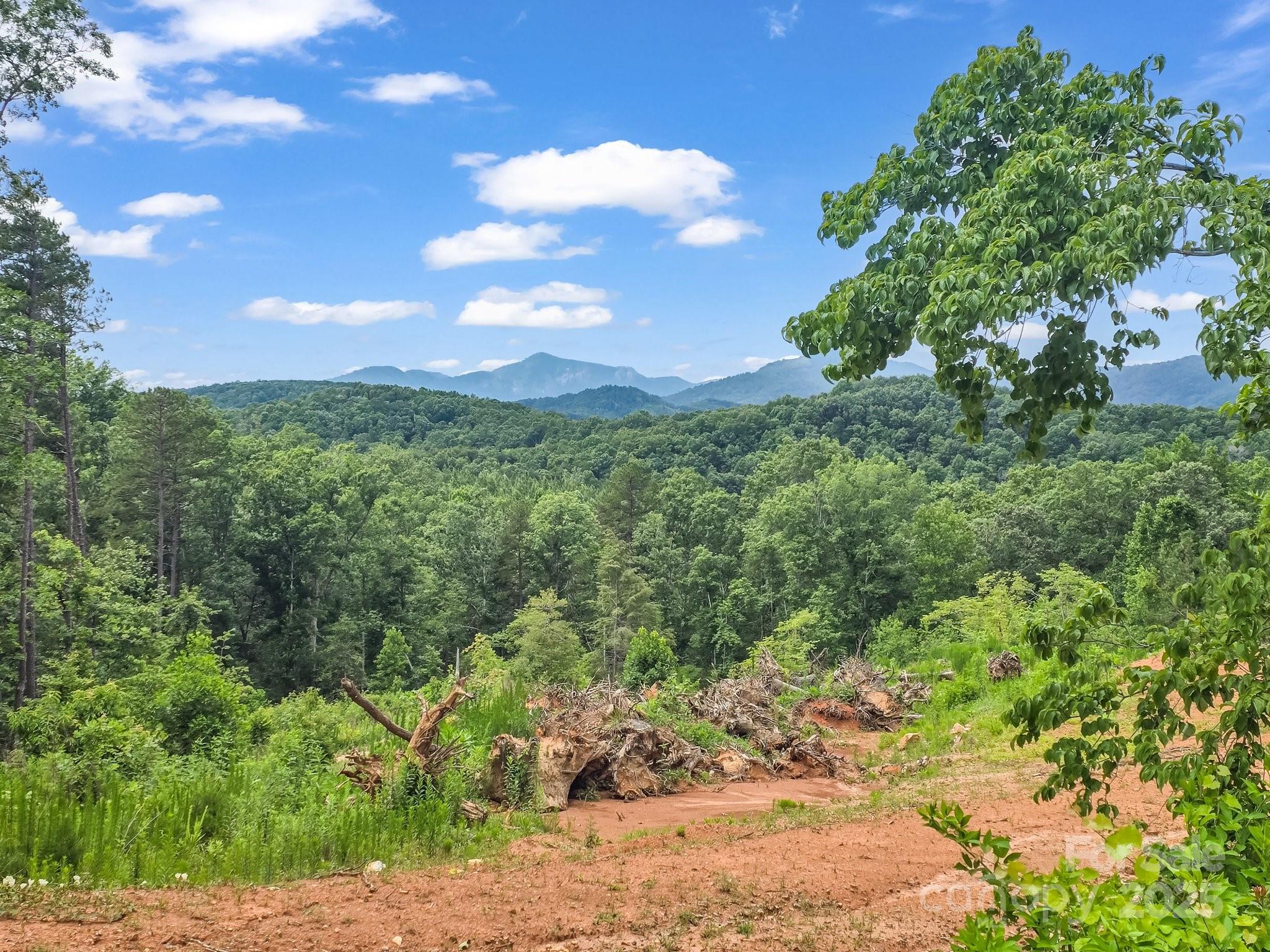 Lot 52 Shady Bark Lane Property Photo 27