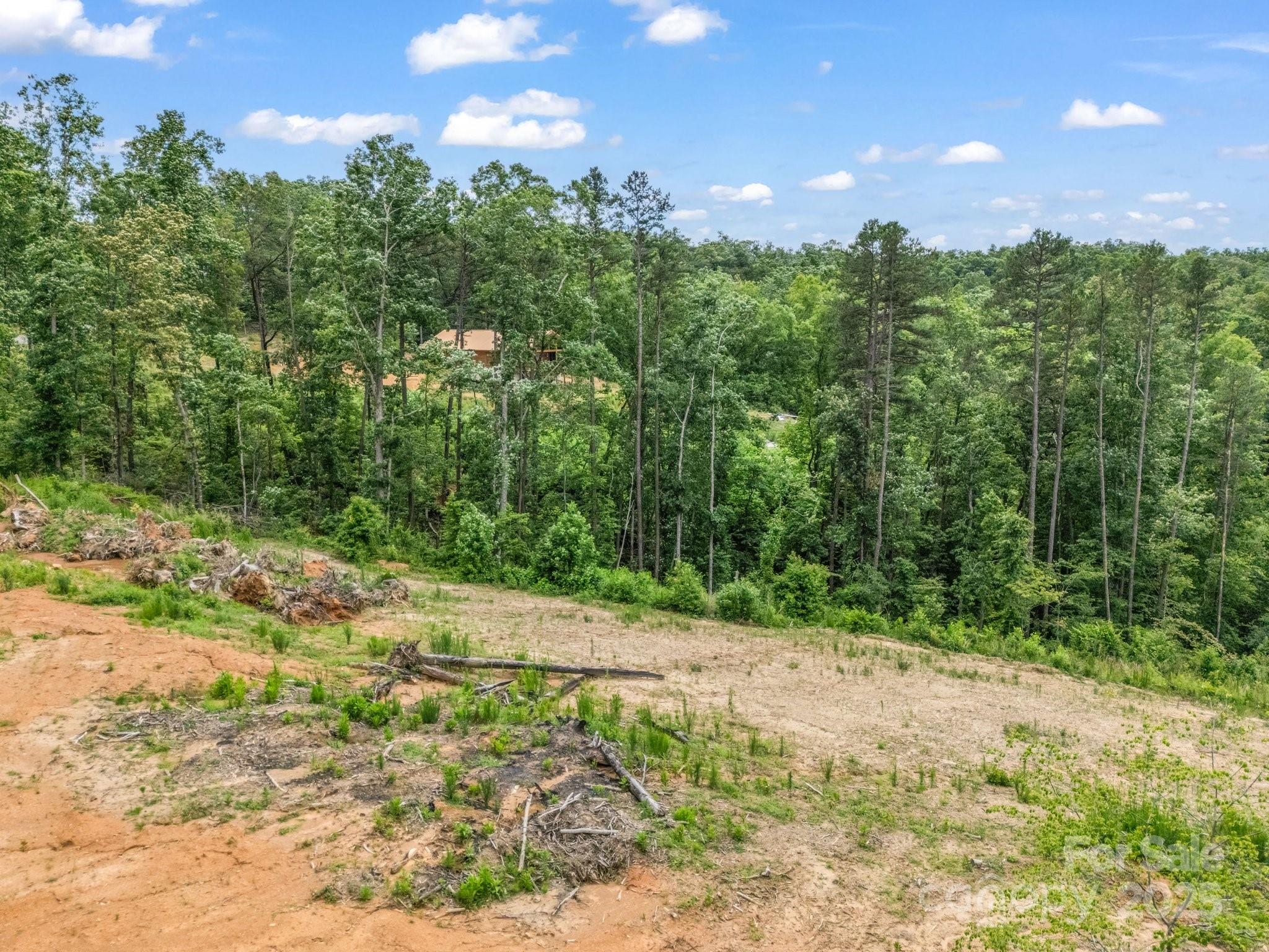 Lot 52 Shady Bark Lane Property Photo 28