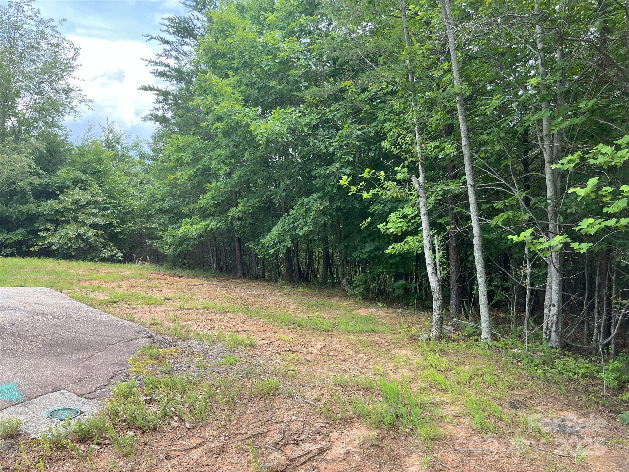 00 Deep Gap Road 59 Property Photo 4