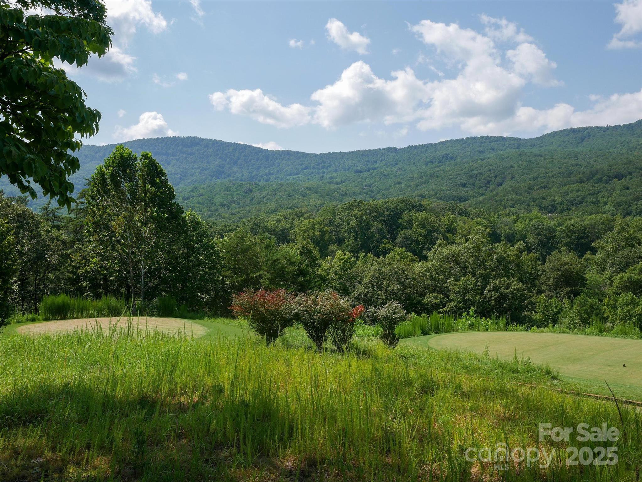 00 Deep Gap Road 59 Property Photo 18