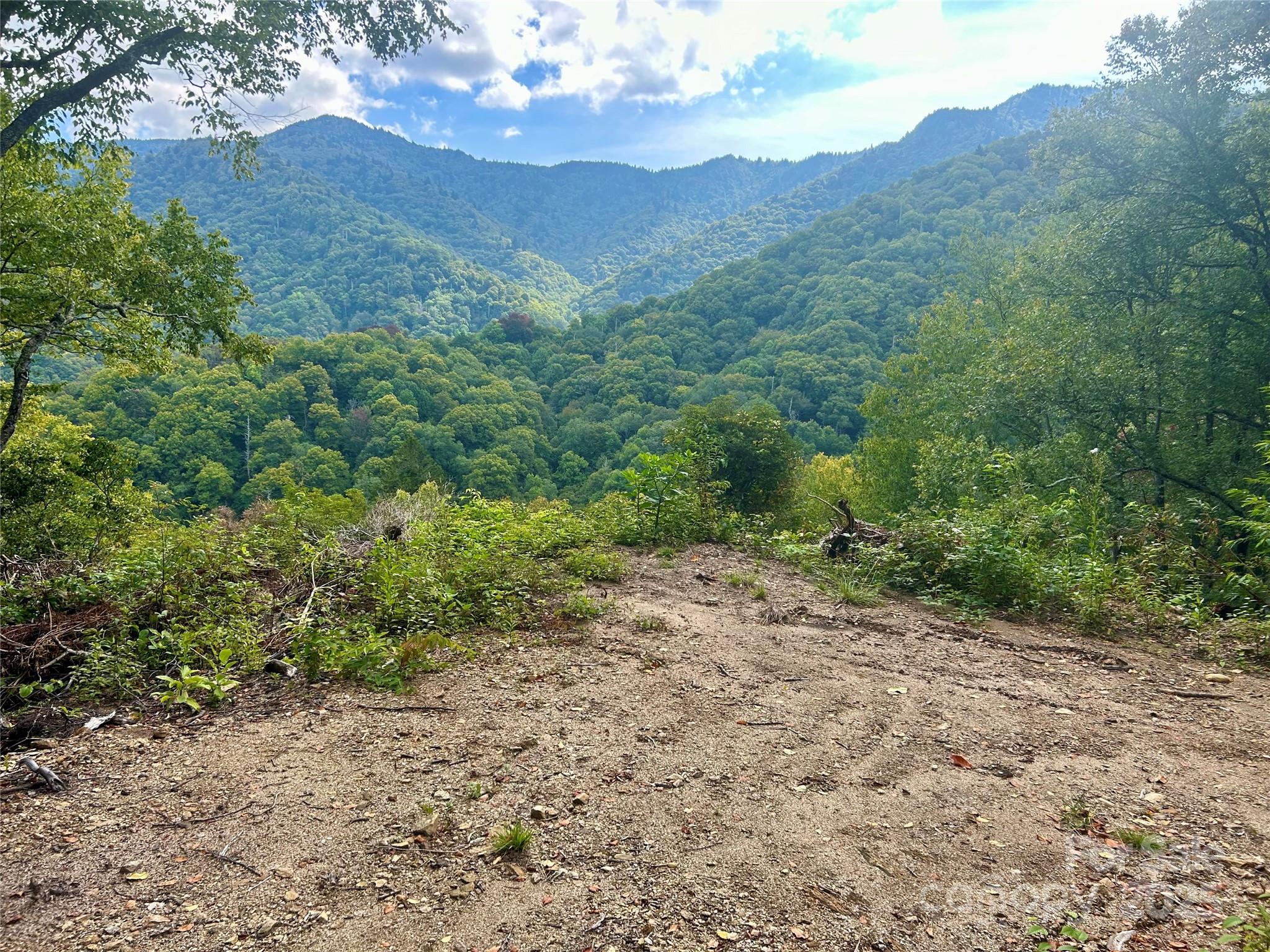 0 Black Rock Creek Property Photo 1