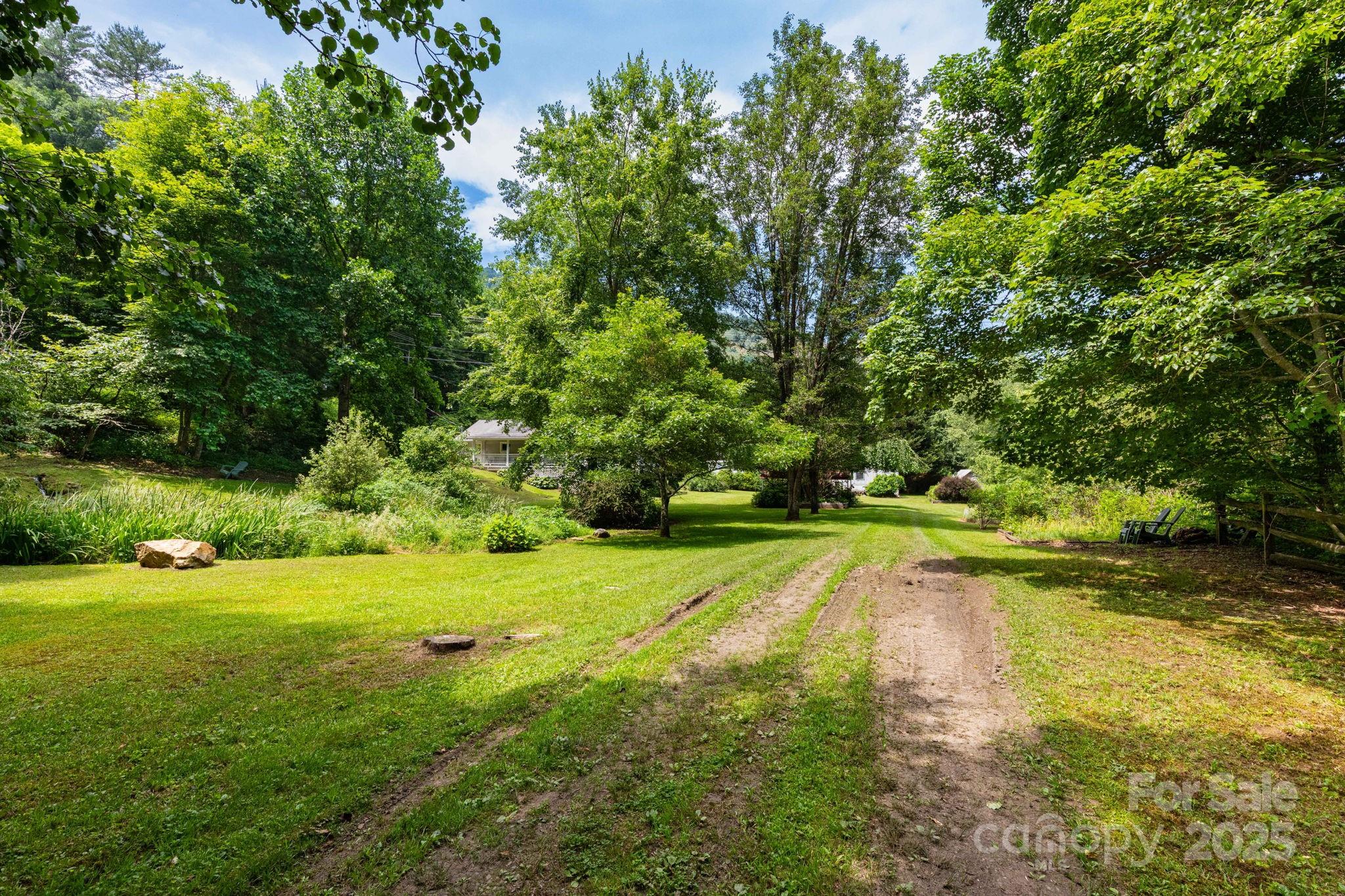 165 Mont Shook Drive Property Photo 6