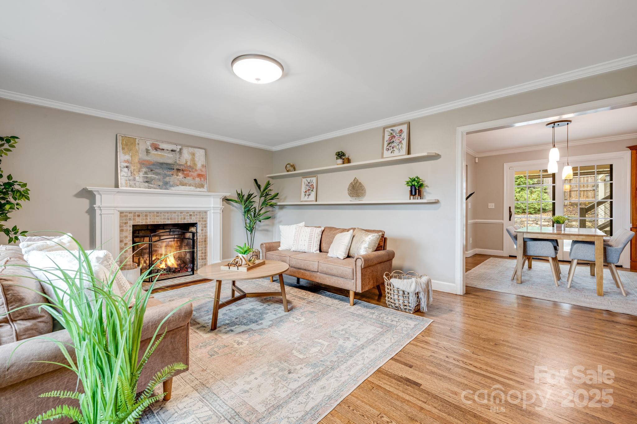 19 Albemarle Road Property Photo 7