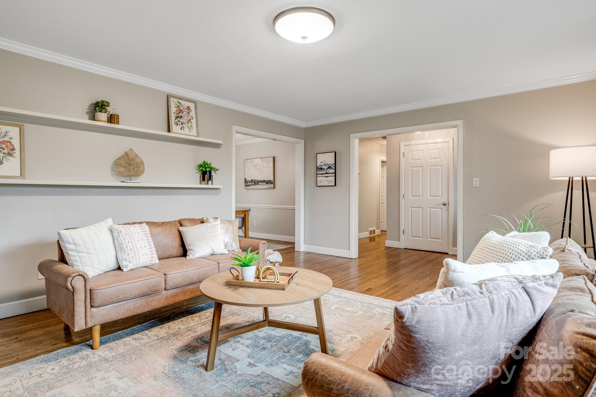 19 Albemarle Road Property Photo 8