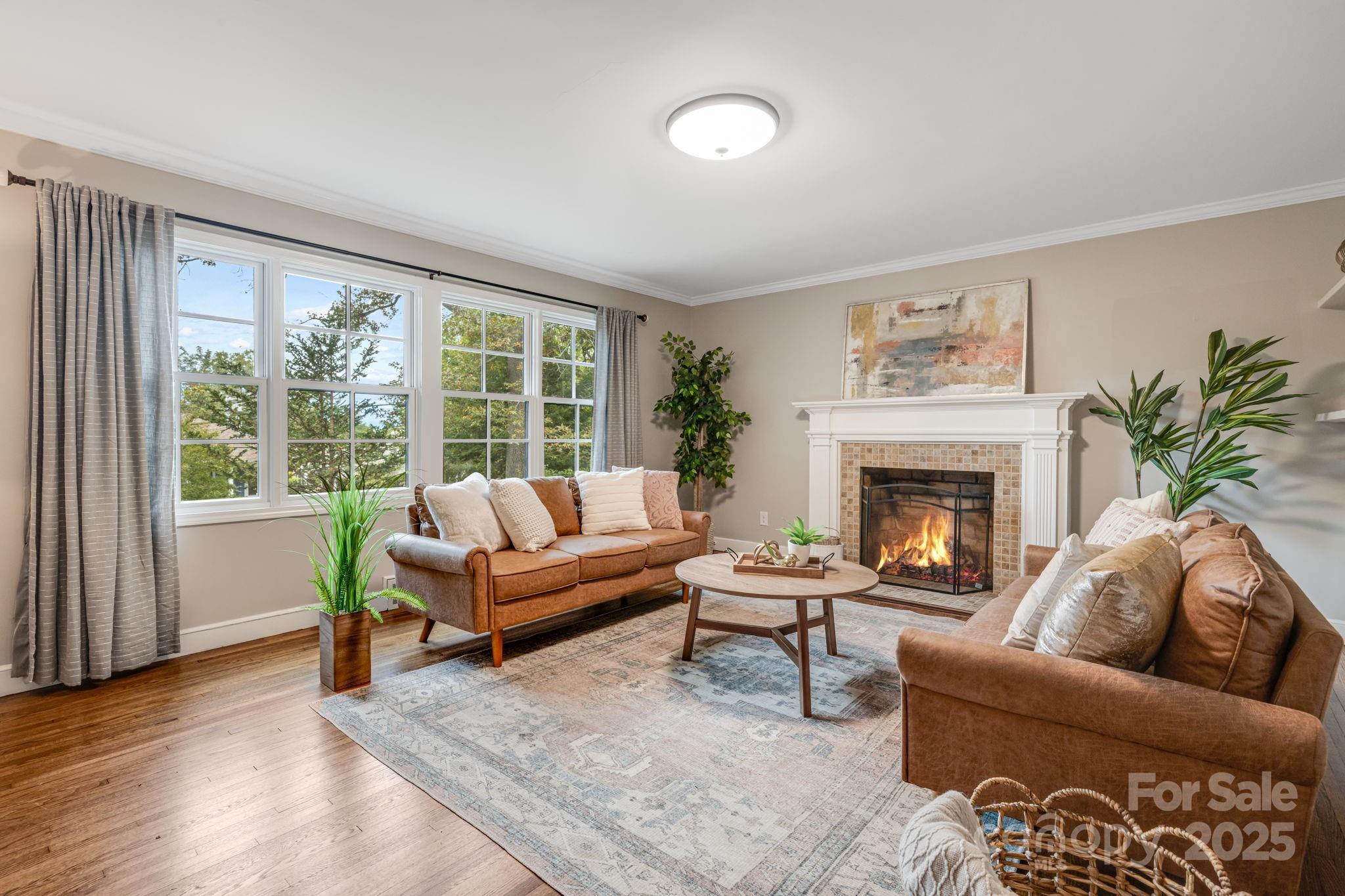 19 Albemarle Road Property Photo 9