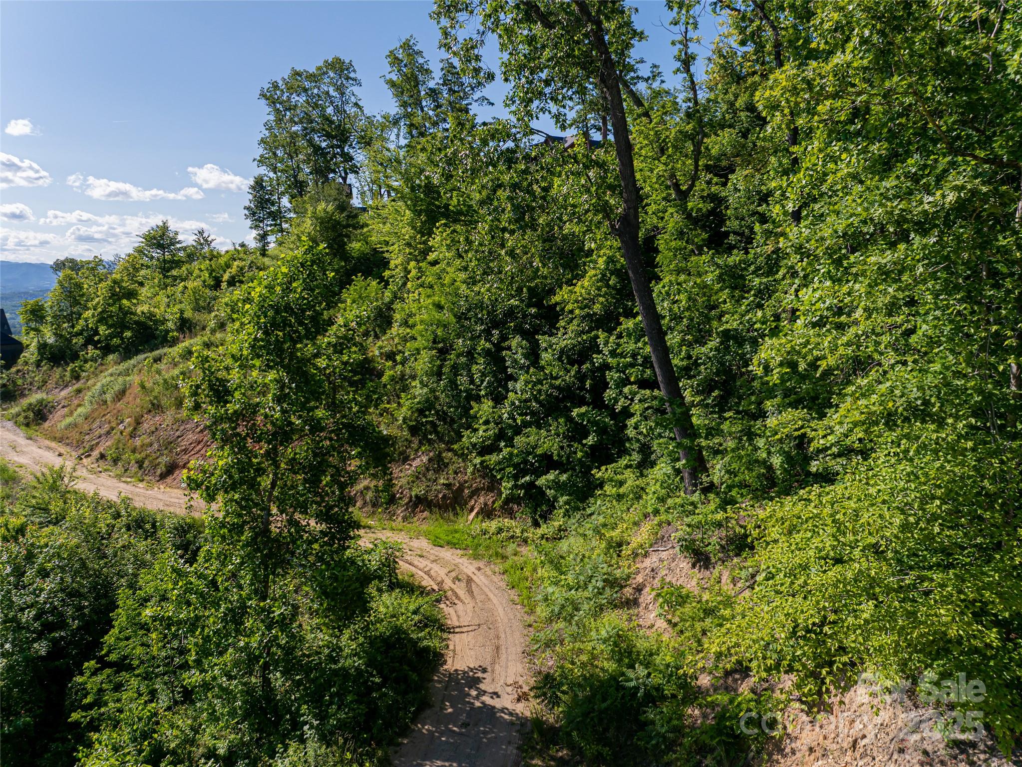 151 Serenity Ridge Trail Property Photo 5