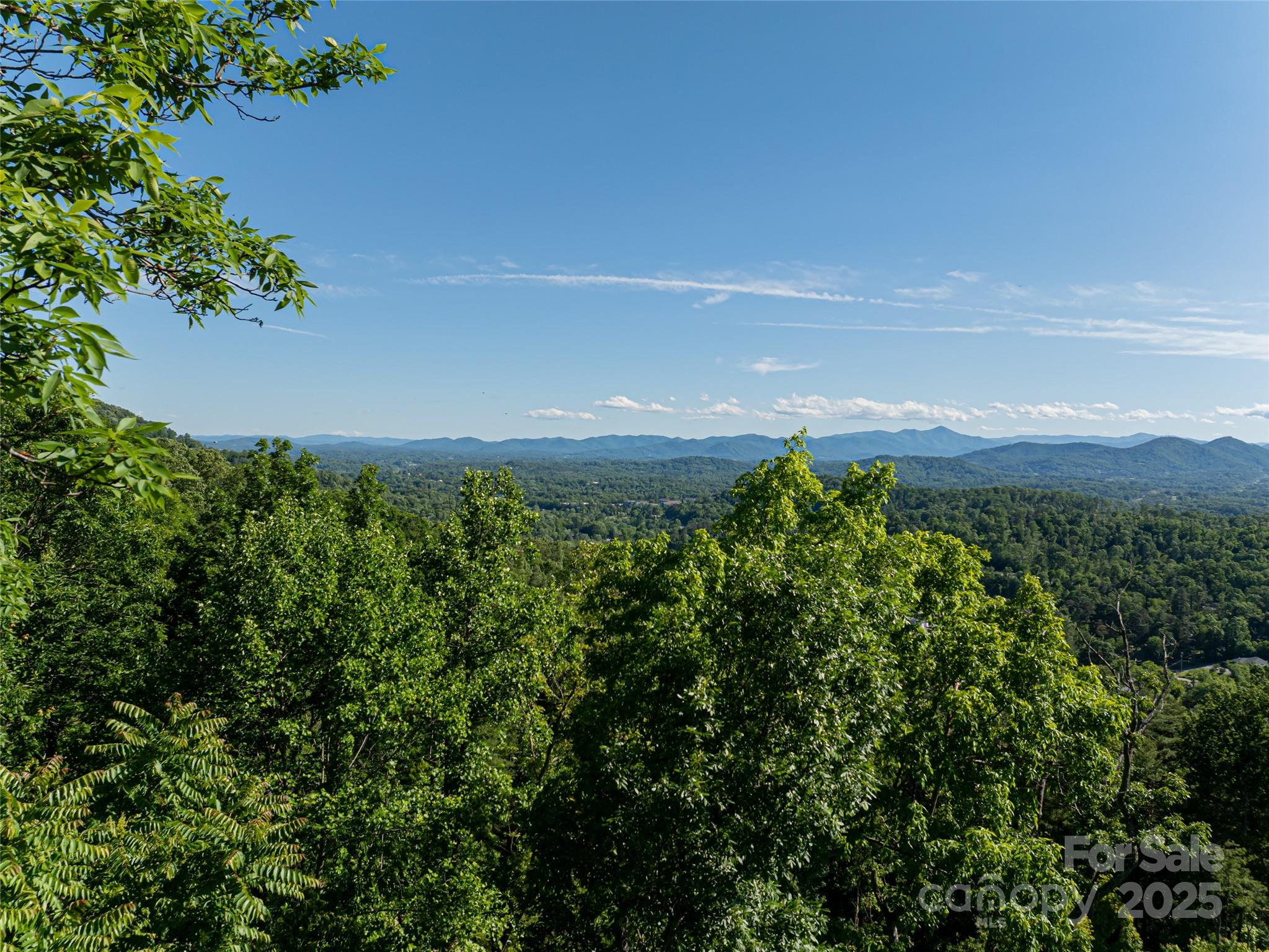151 Serenity Ridge Trail Property Photo 6