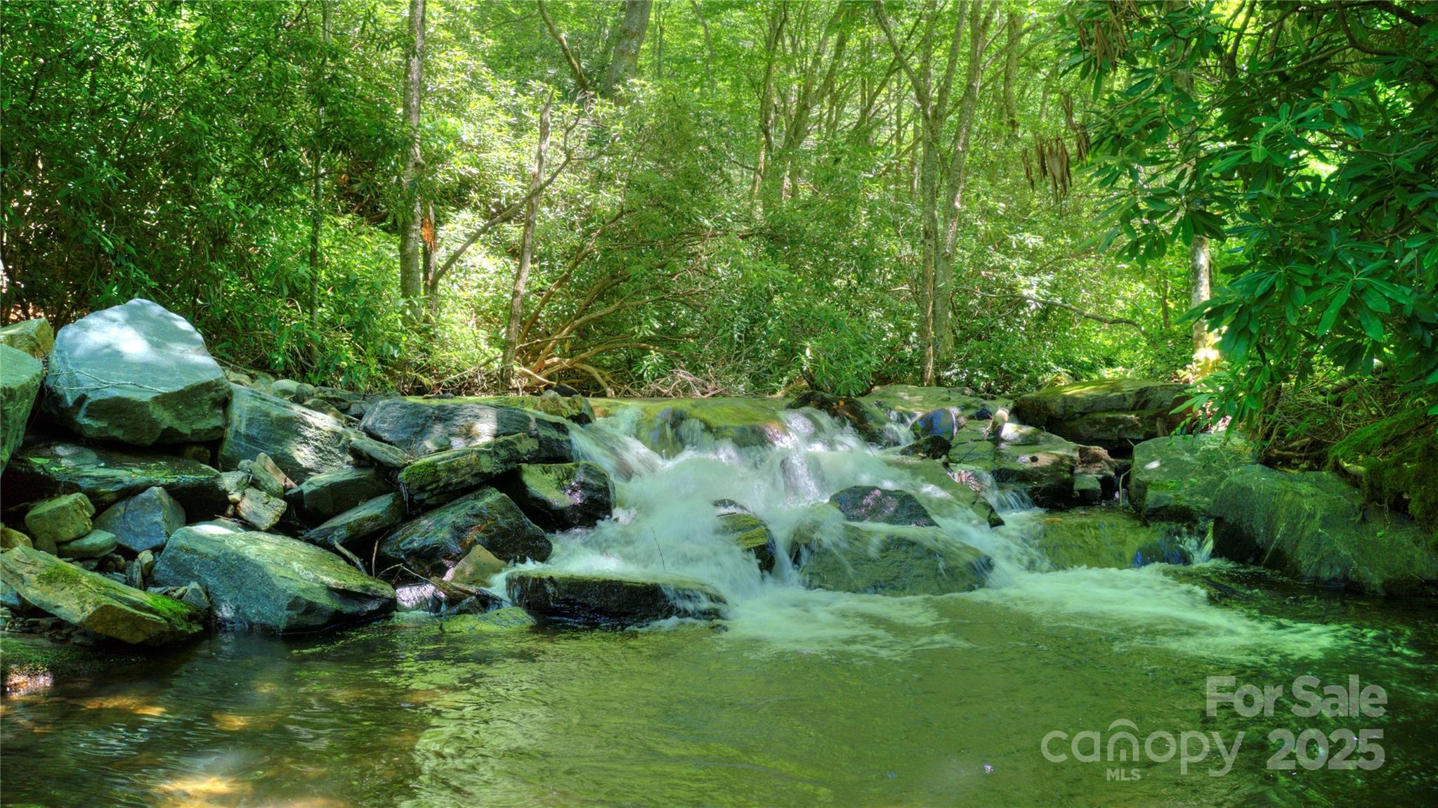 000 Golden Trout Drive 48&49 Property Photo 6