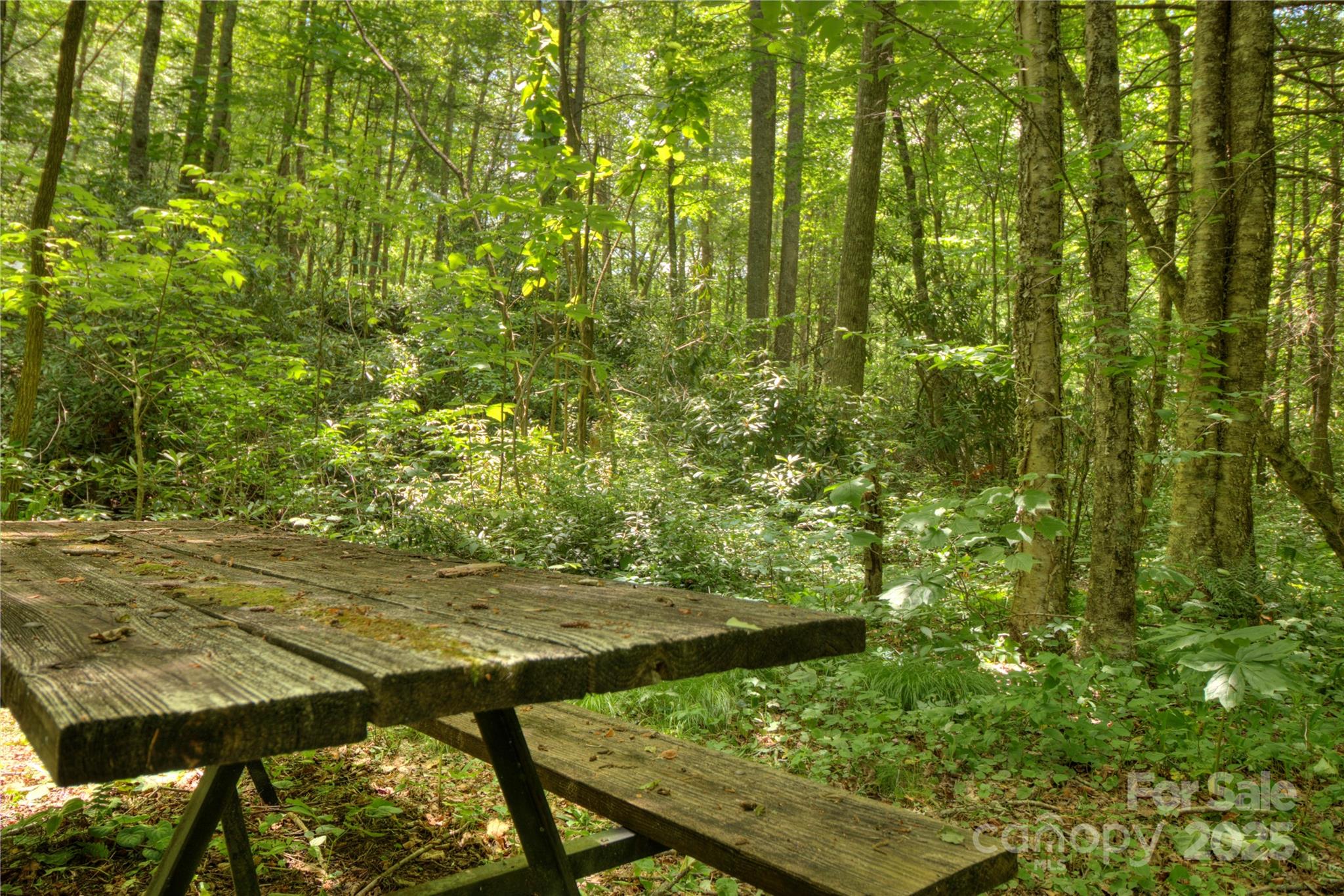 000 Golden Trout Drive 48&49 Property Photo 8