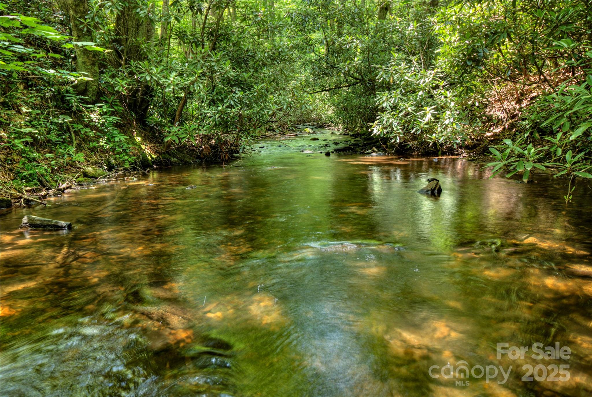 000 Golden Trout Drive 48&49 Property Photo 9