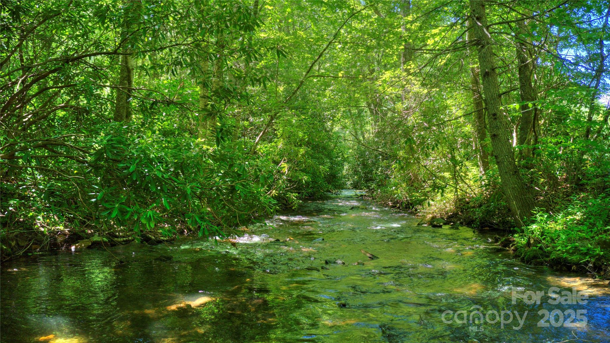 000 Golden Trout Drive 48&49 Property Photo 10