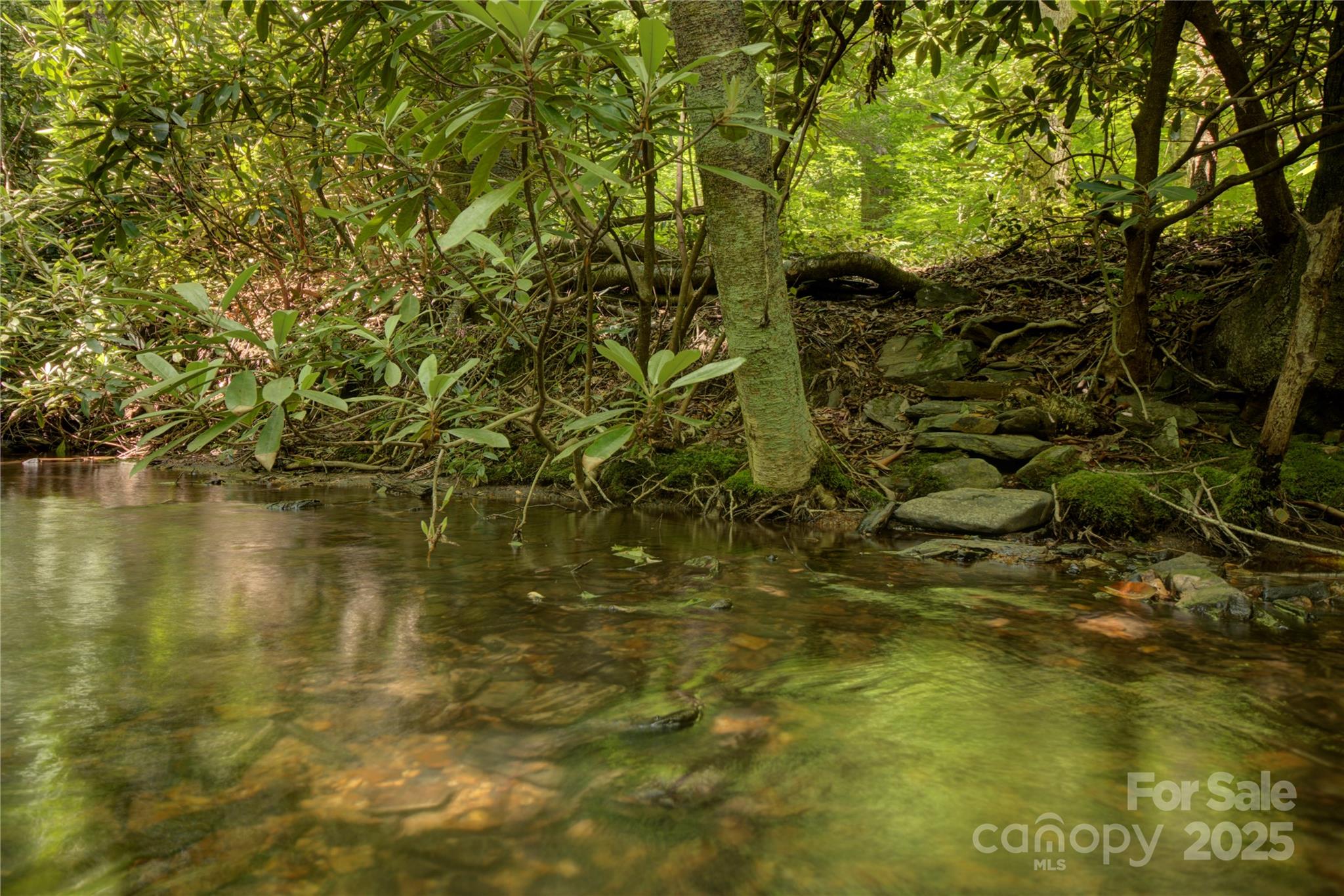 000 Golden Trout Drive 48&49 Property Photo 11