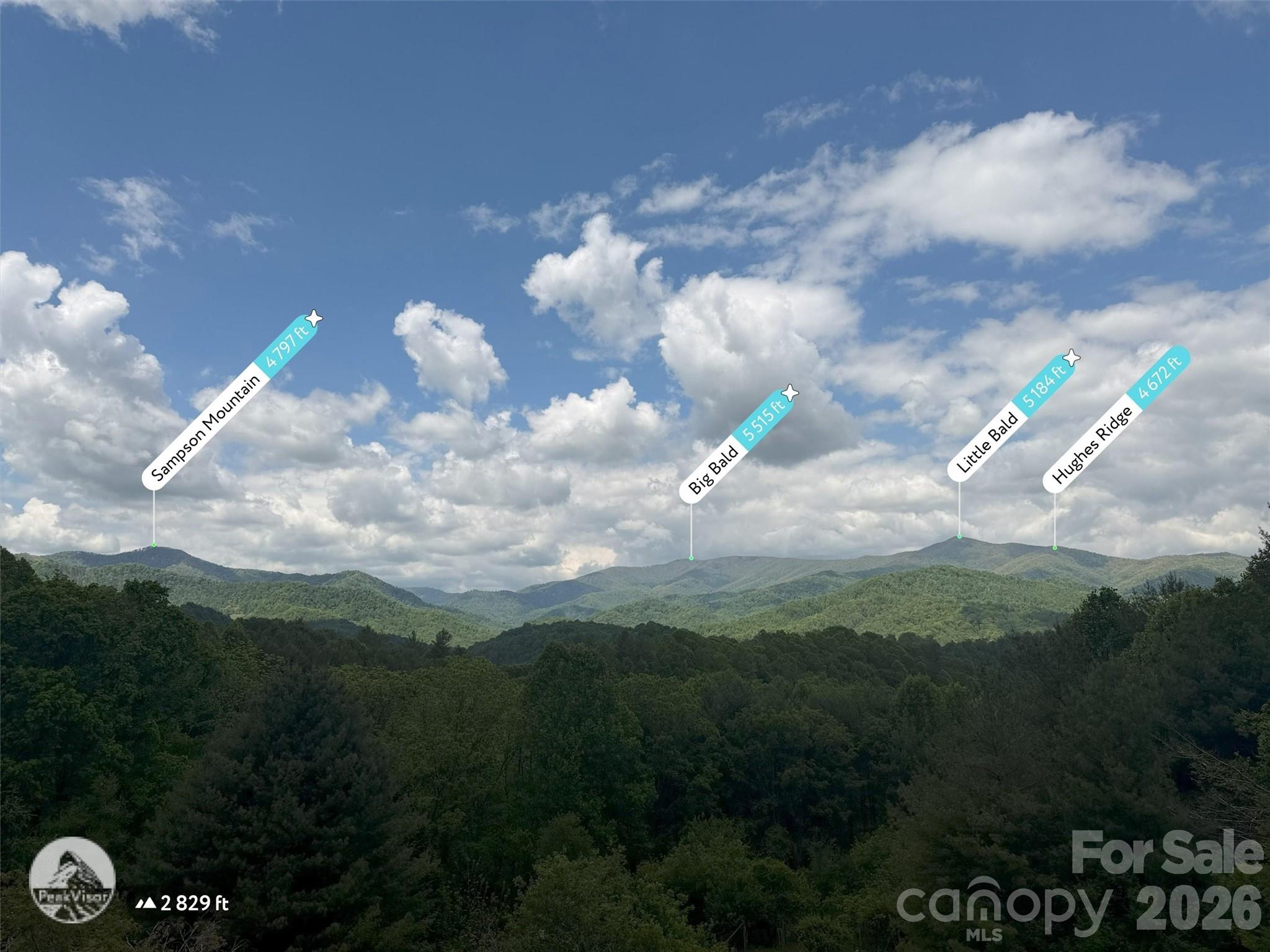 1592 Piney Hill Road Property Photo 7