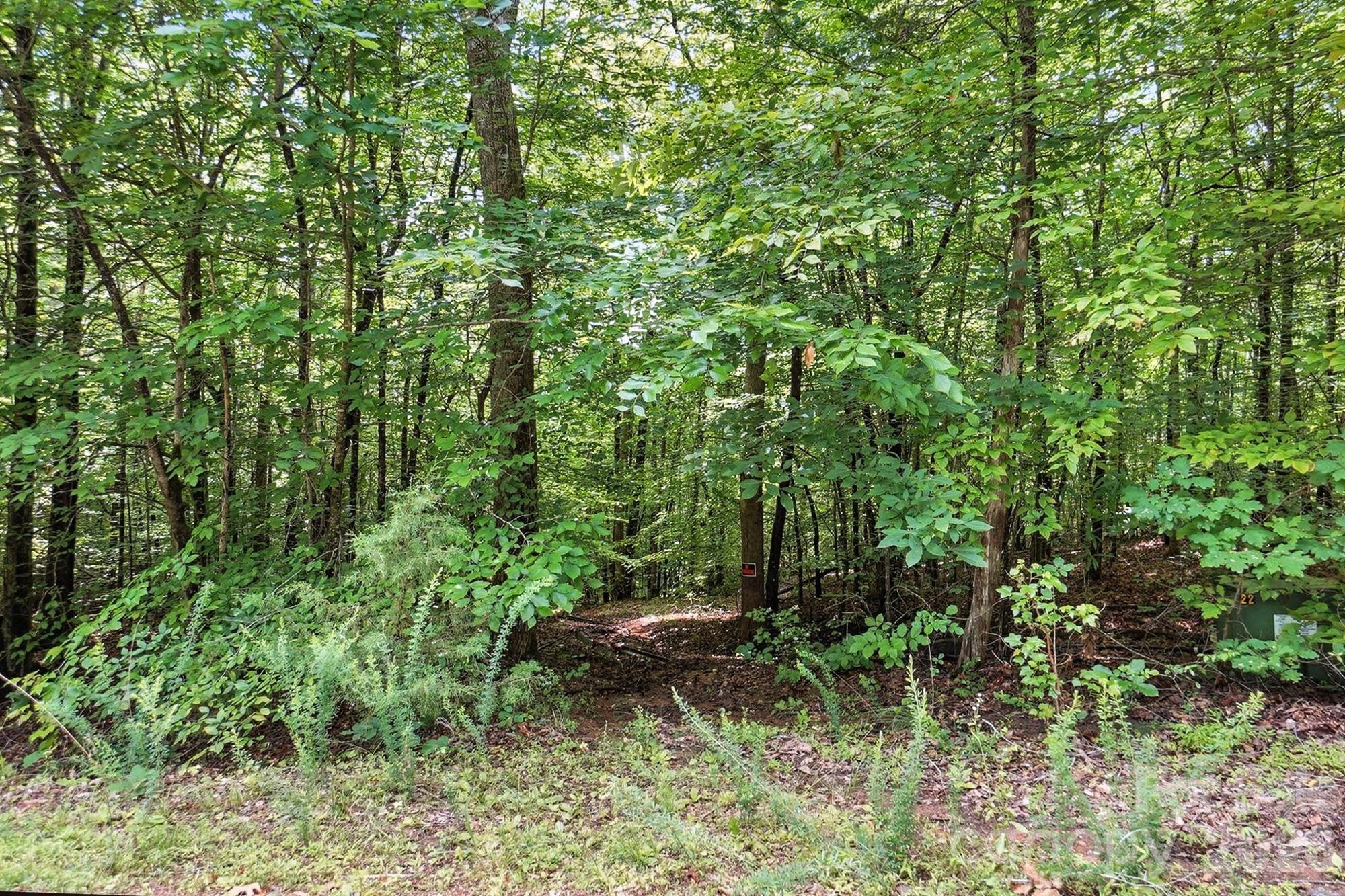 6 Hager Mountain Lane Property Photo 5