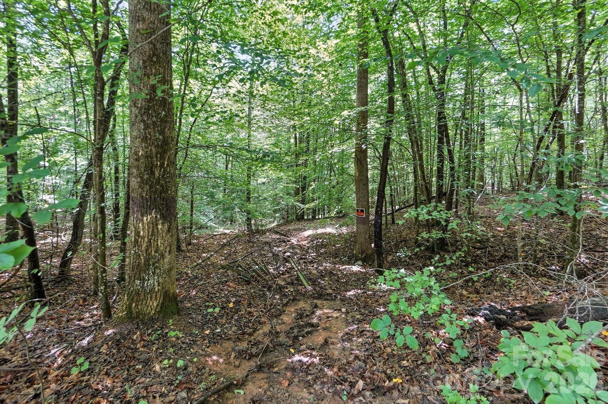 6 Hager Mountain Lane Property Photo 6