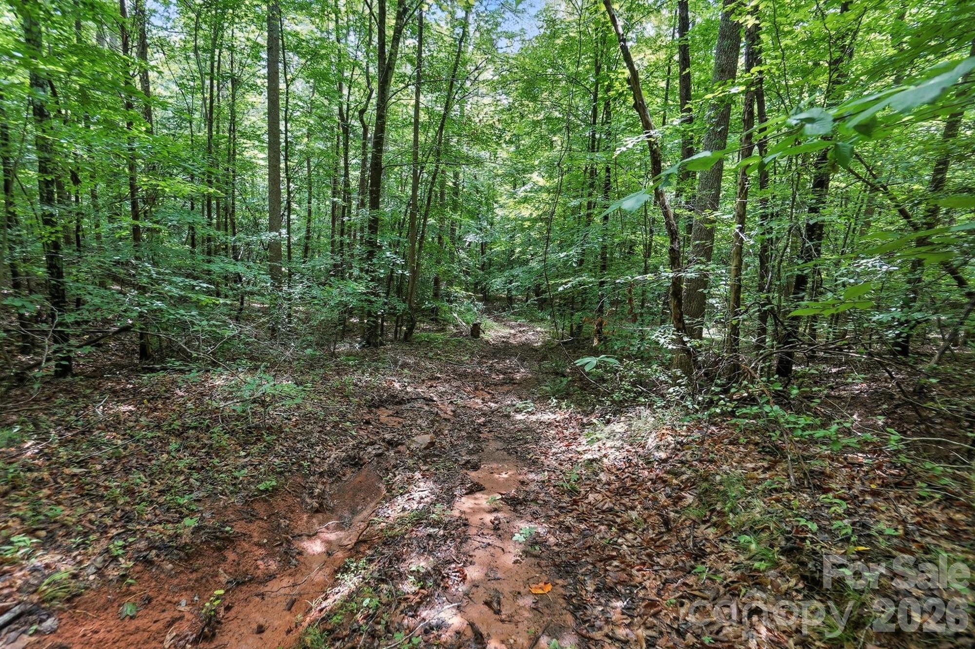 6 Hager Mountain Lane Property Photo 7