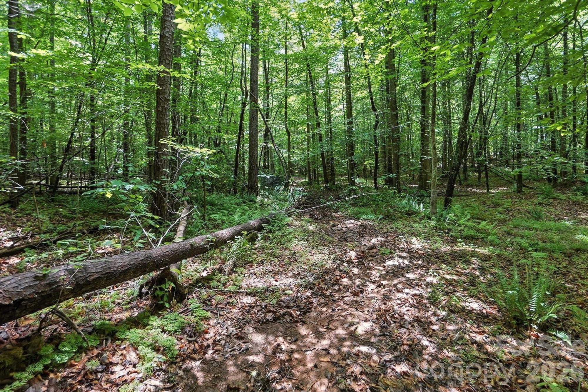 6 Hager Mountain Lane Property Photo 8