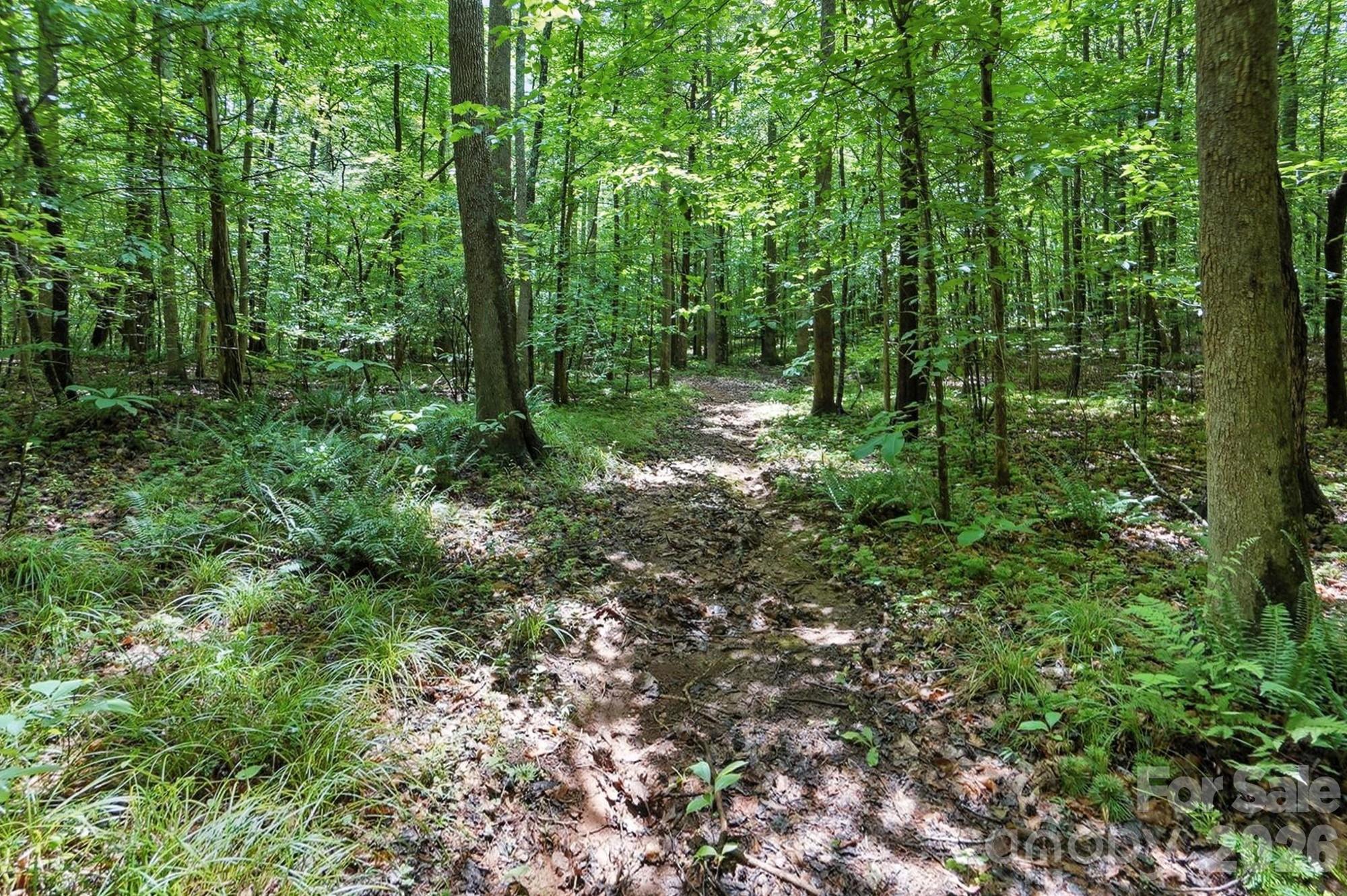 6 Hager Mountain Lane Property Photo 10