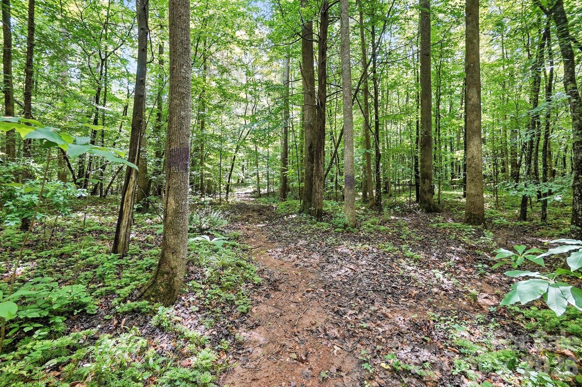 6 Hager Mountain Lane Property Photo 11