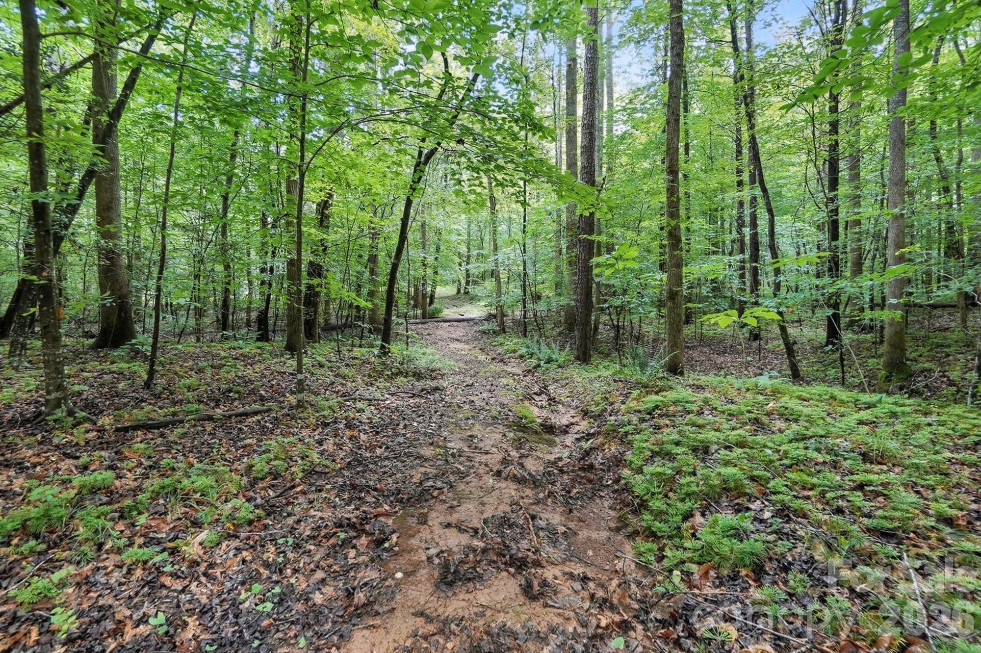6 Hager Mountain Lane Property Photo 12